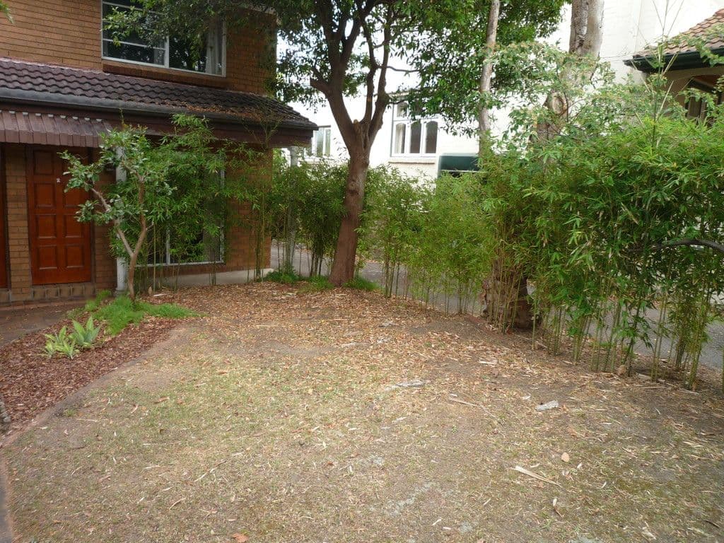 2/55 FAIRLIGHT Street, FAIRLIGHT NSW 2094, Fairlight - Thumbnail 3