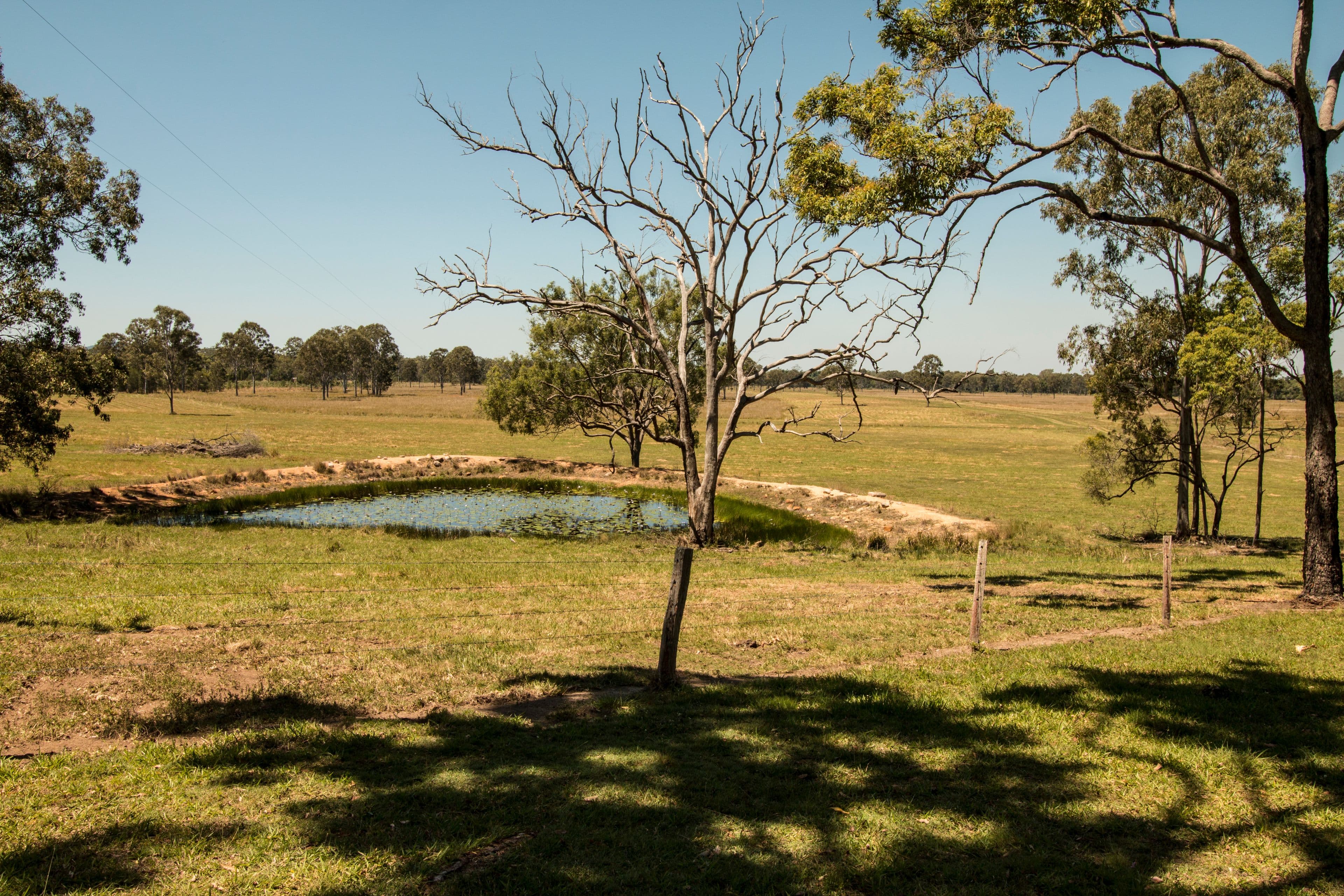 240 Ballantyne Road, Captain Creek QLD 4677, Captain Creek - Thumbnail 8
