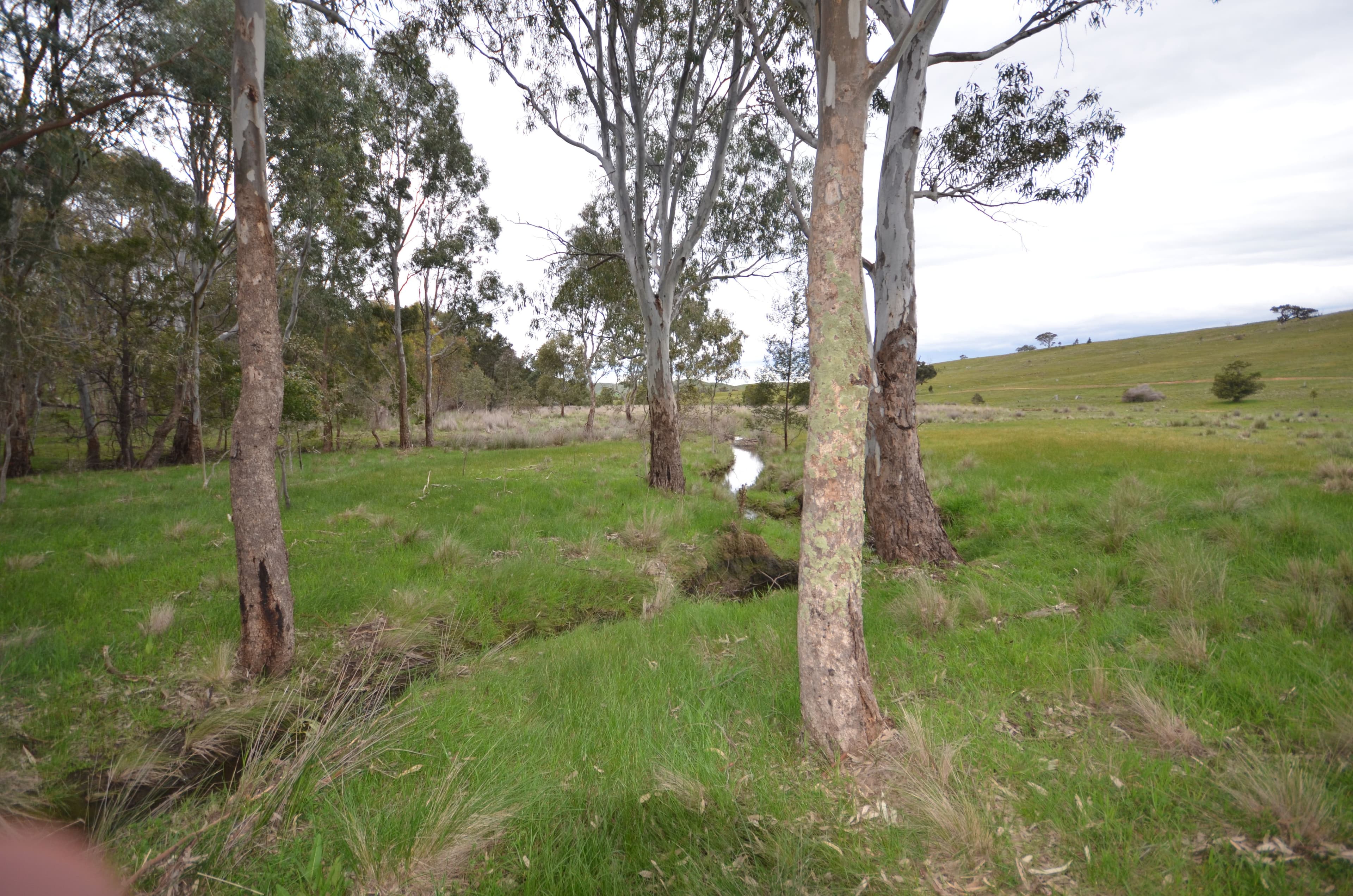 CA E28 Joseph Lane, Amphitheatre VIC 3468, Amphitheatre - Thumbnail 4
