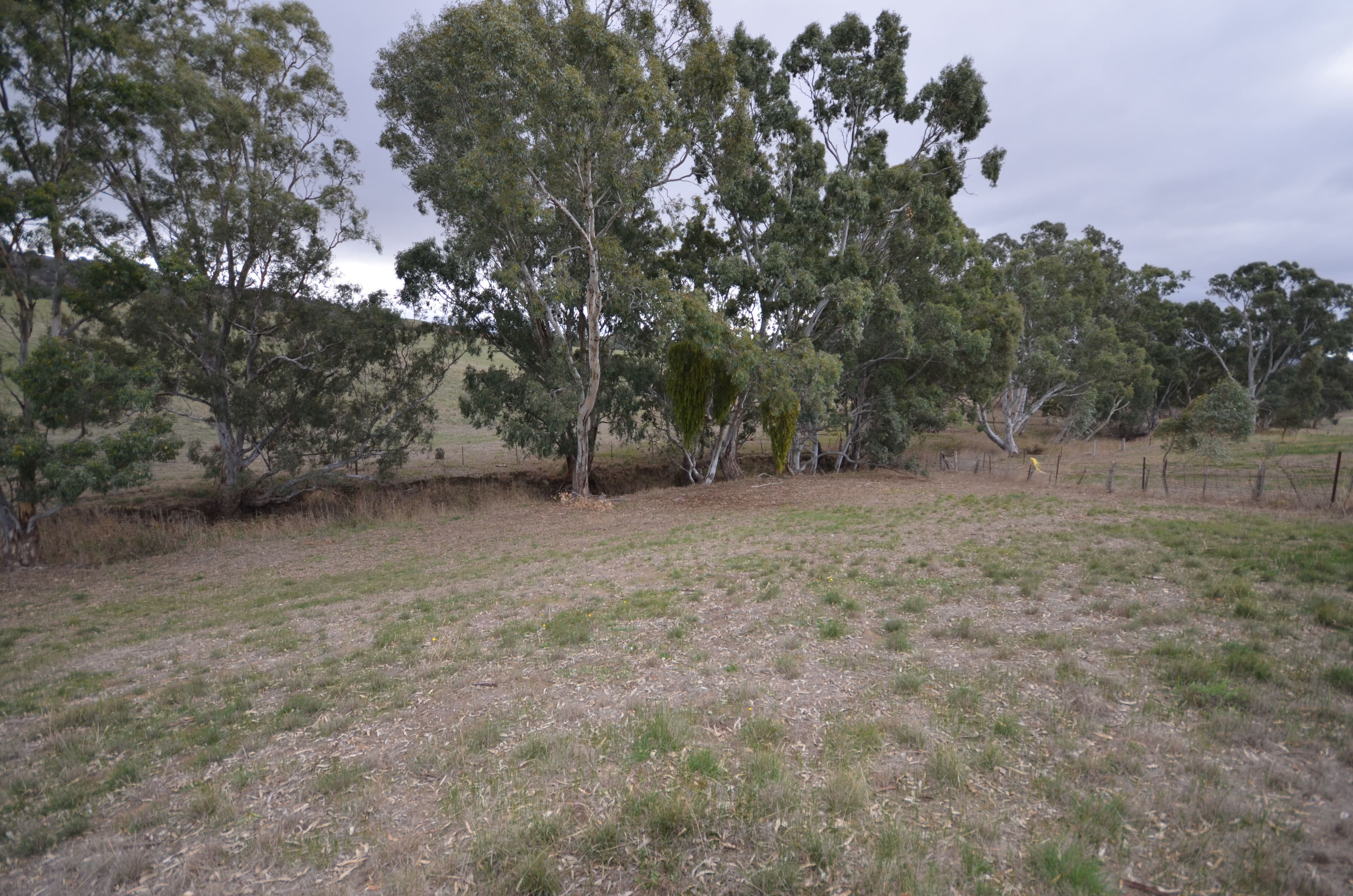 CA 3 Green Street, Elmhurst VIC 3469, Elmhurst - Thumbnail 6