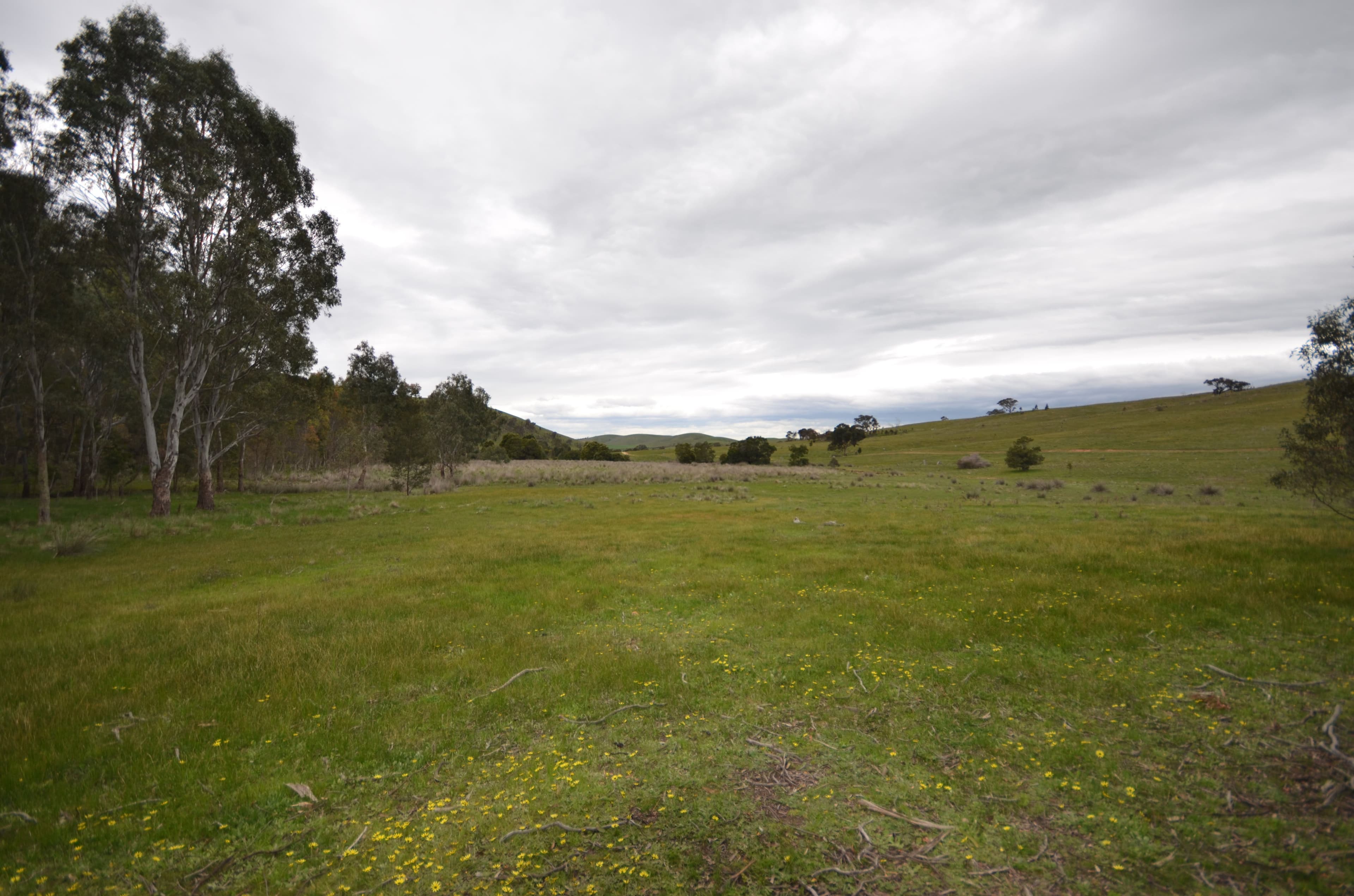 CA E28 Joseph Lane, Amphitheatre VIC 3468, Amphitheatre - Thumbnail 8