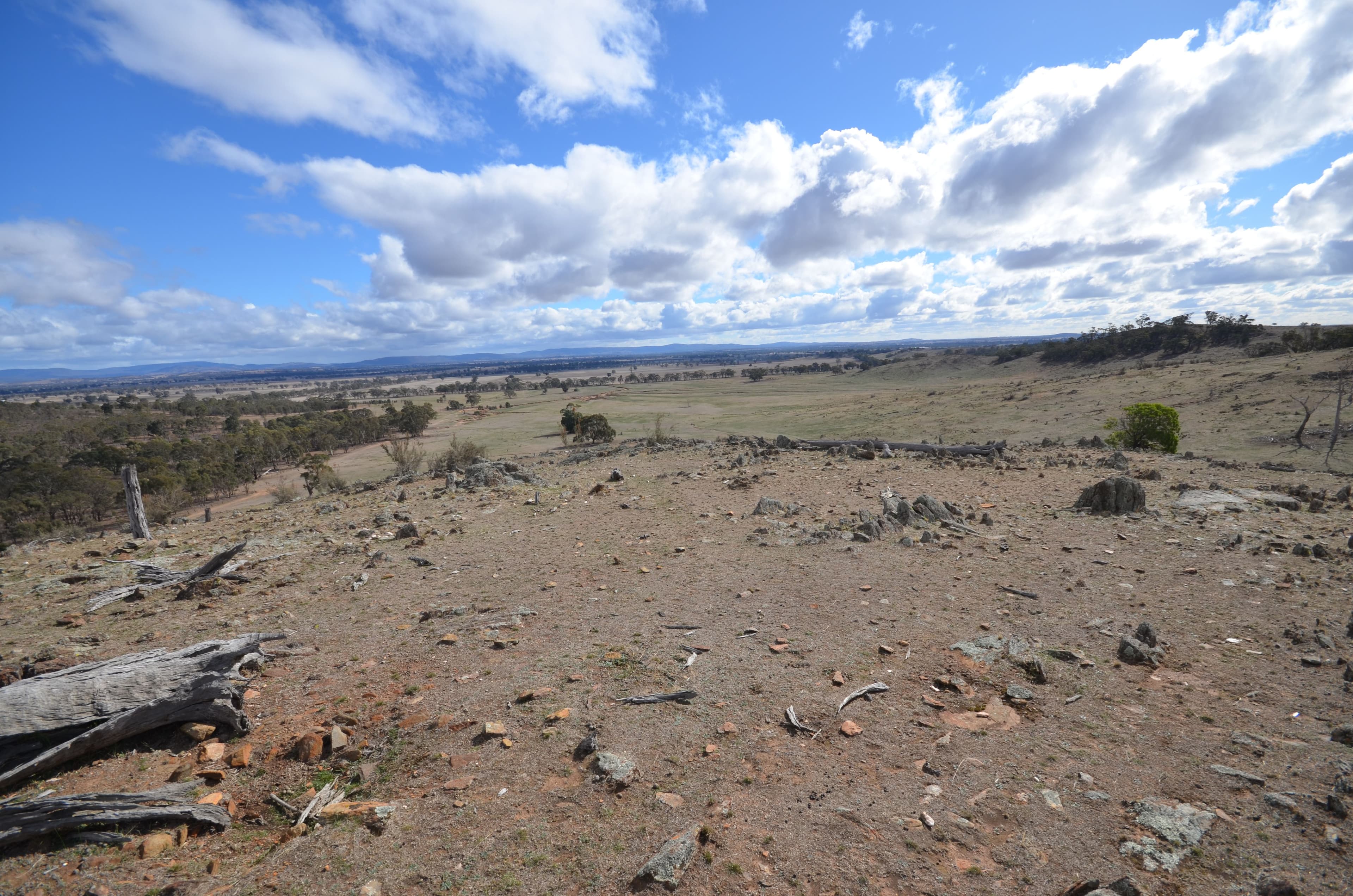 336 McArdles Lane, Dunluce VIC 3472, Dunluce - Thumbnail 3