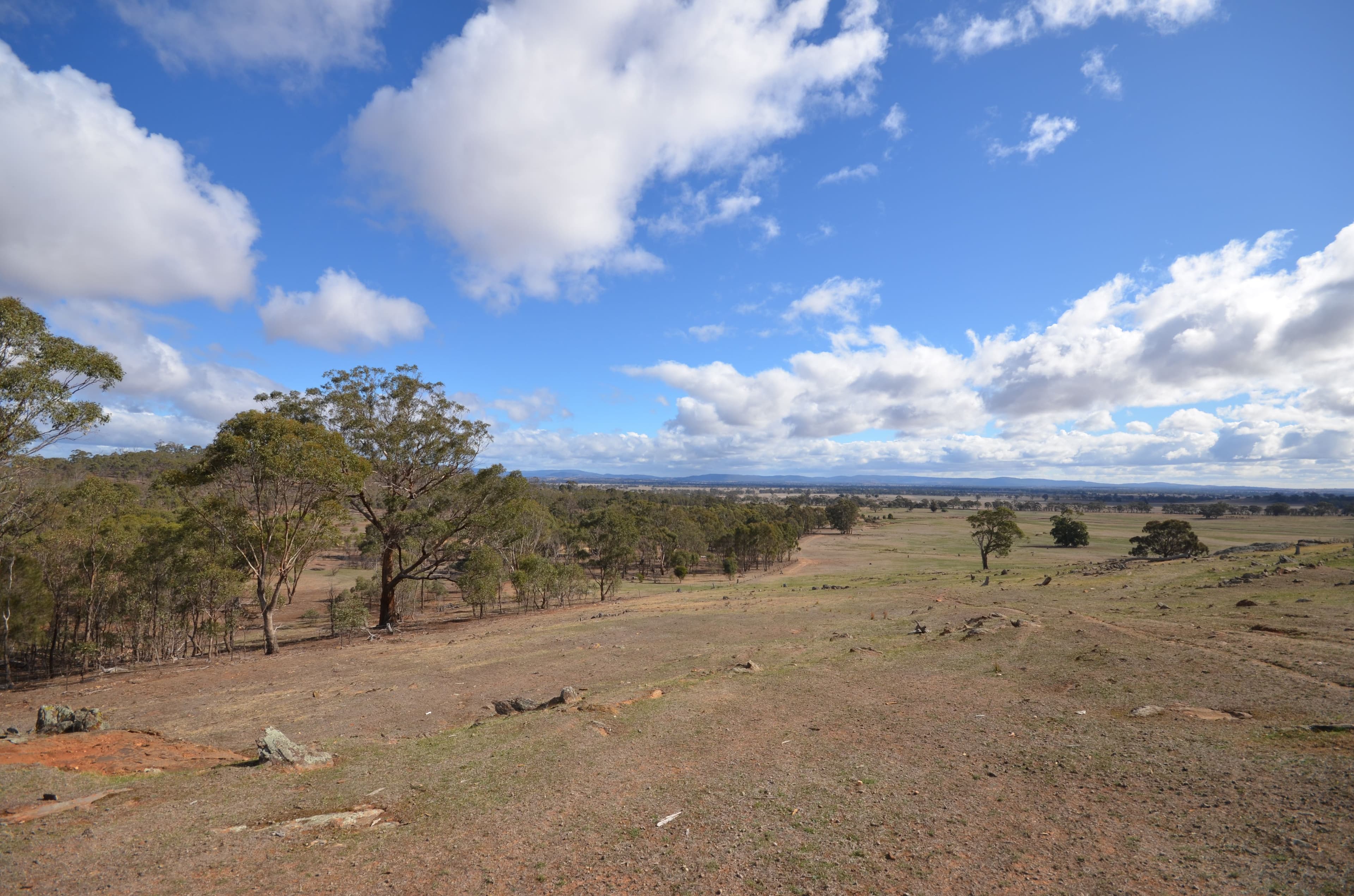 336 McArdles Lane, Dunluce VIC 3472, Dunluce - Thumbnail 7