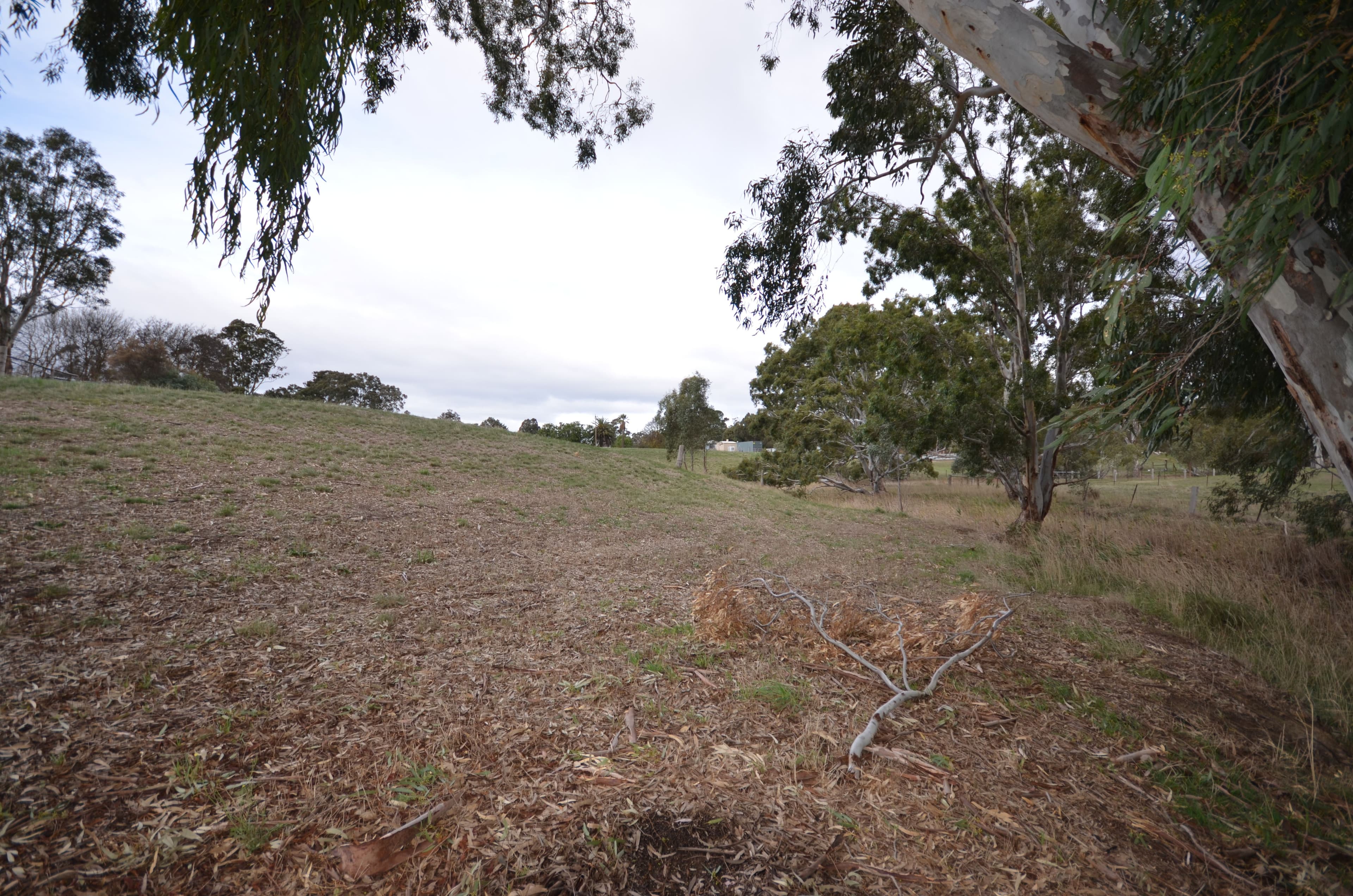 CA 3 Green Street, Elmhurst VIC 3469, Elmhurst - Thumbnail 4