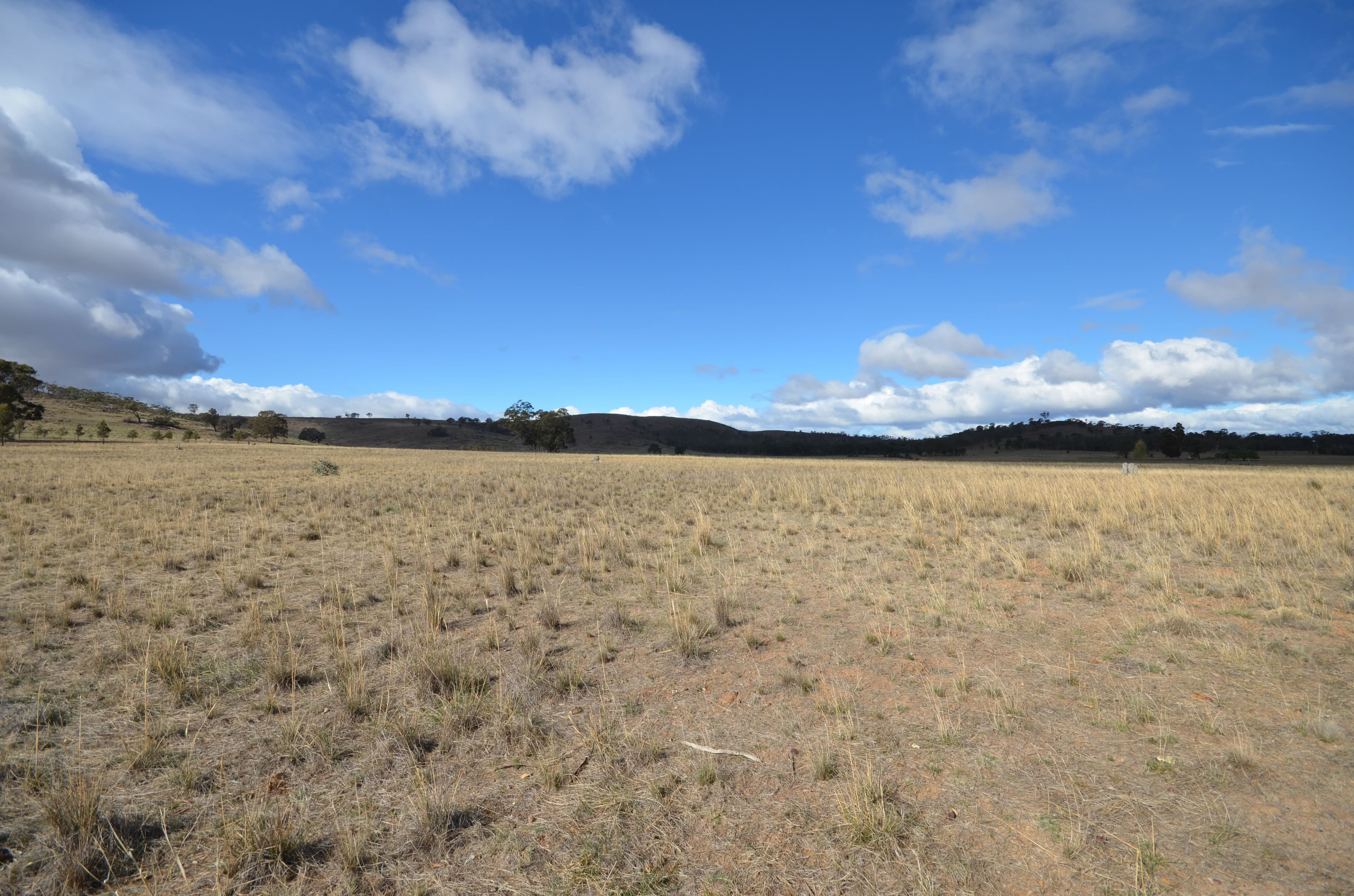 336 McArdles Lane, Dunluce VIC 3472, Dunluce - Image 1