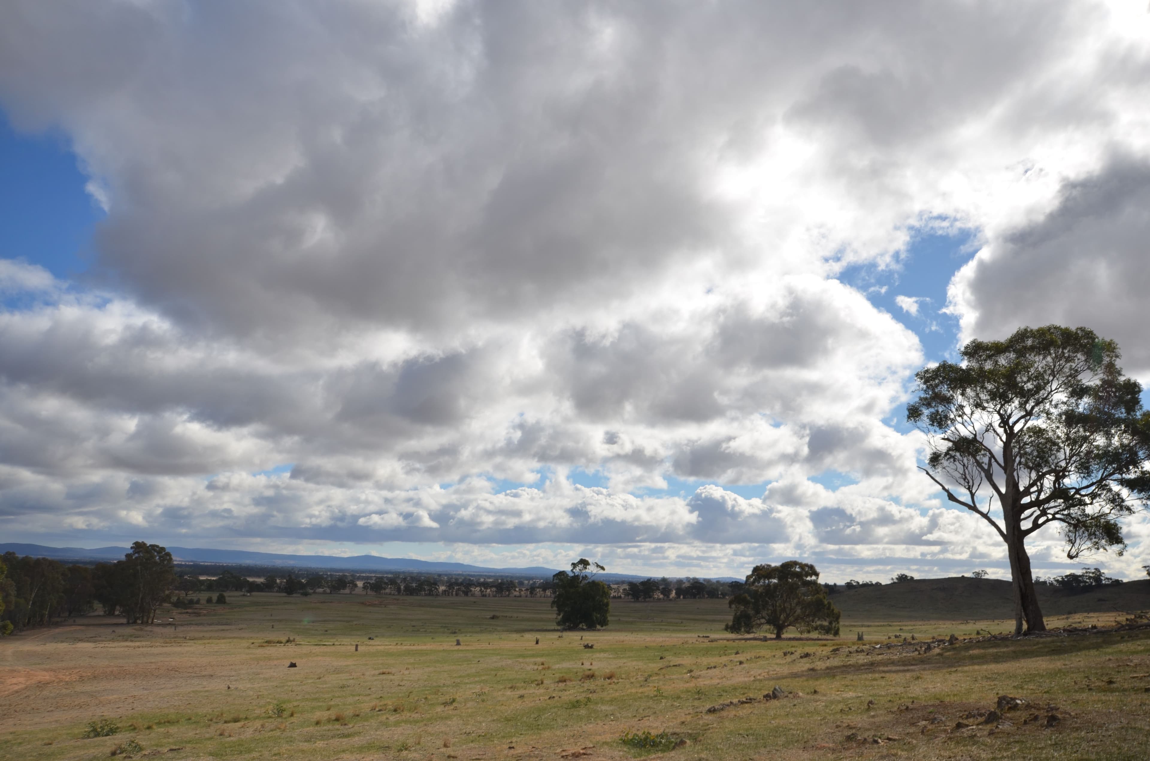 336 McArdles Lane, Dunluce VIC 3472, Dunluce - Thumbnail 4