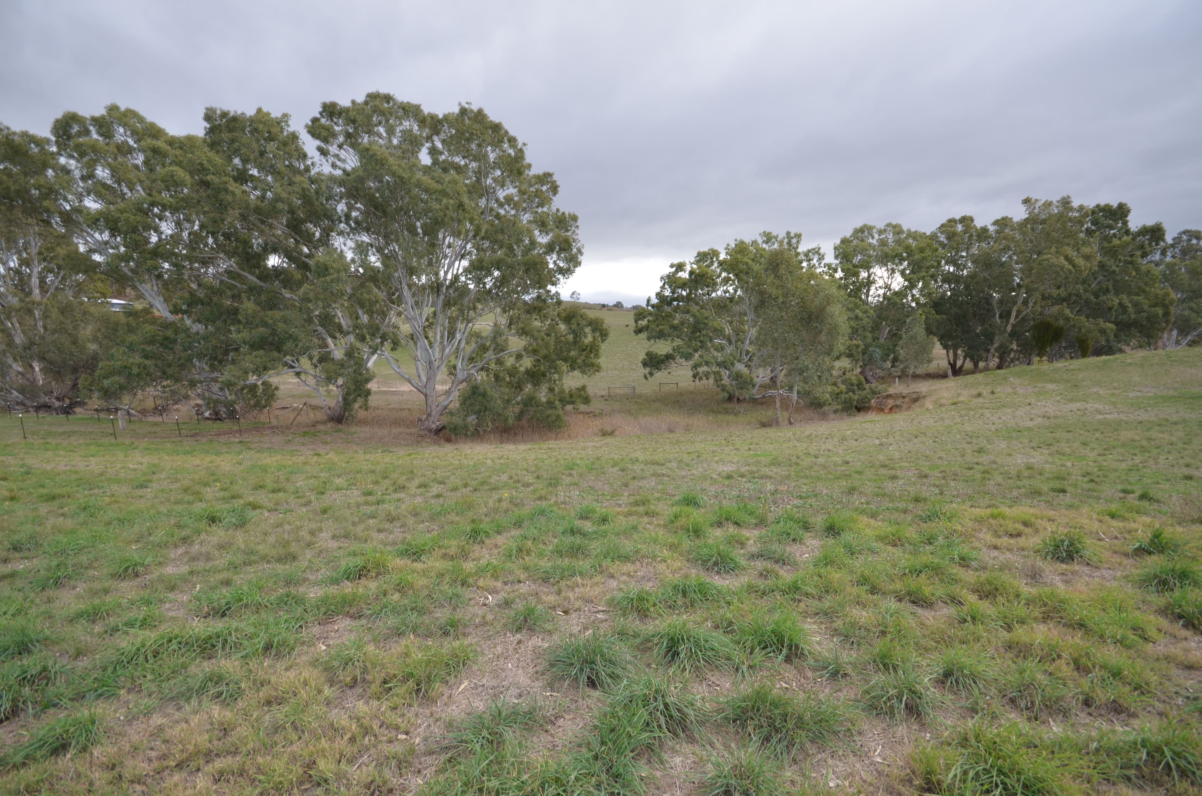 CA 3 Green Street, Elmhurst VIC 3469, Elmhurst - Thumbnail 2