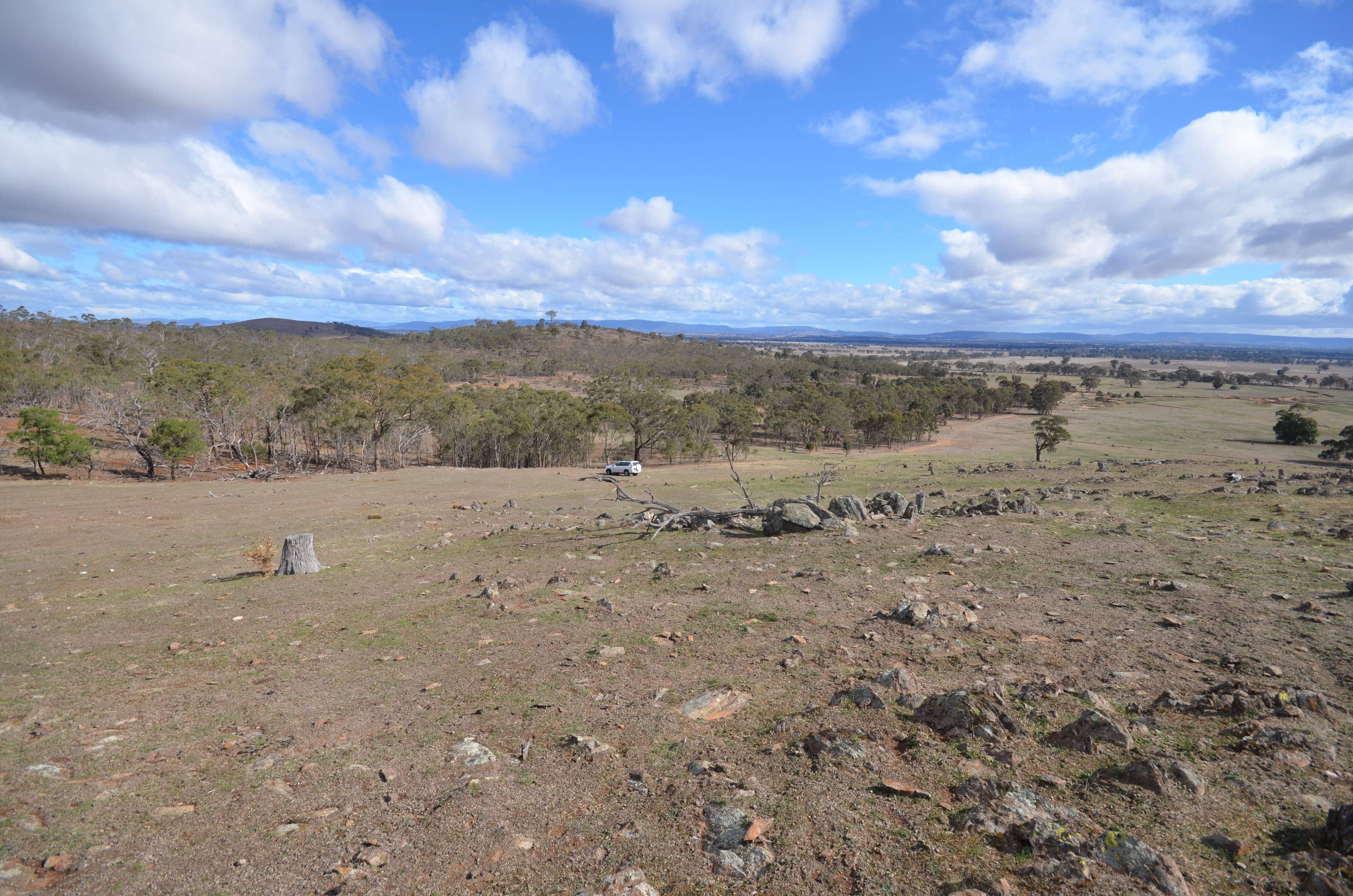 336 McArdles Lane, Dunluce VIC 3472, Dunluce - Thumbnail 8