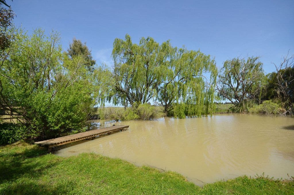 133 Echuca Mitiamo Road, Echuca VIC 3564, Echuca - Thumbnail 4