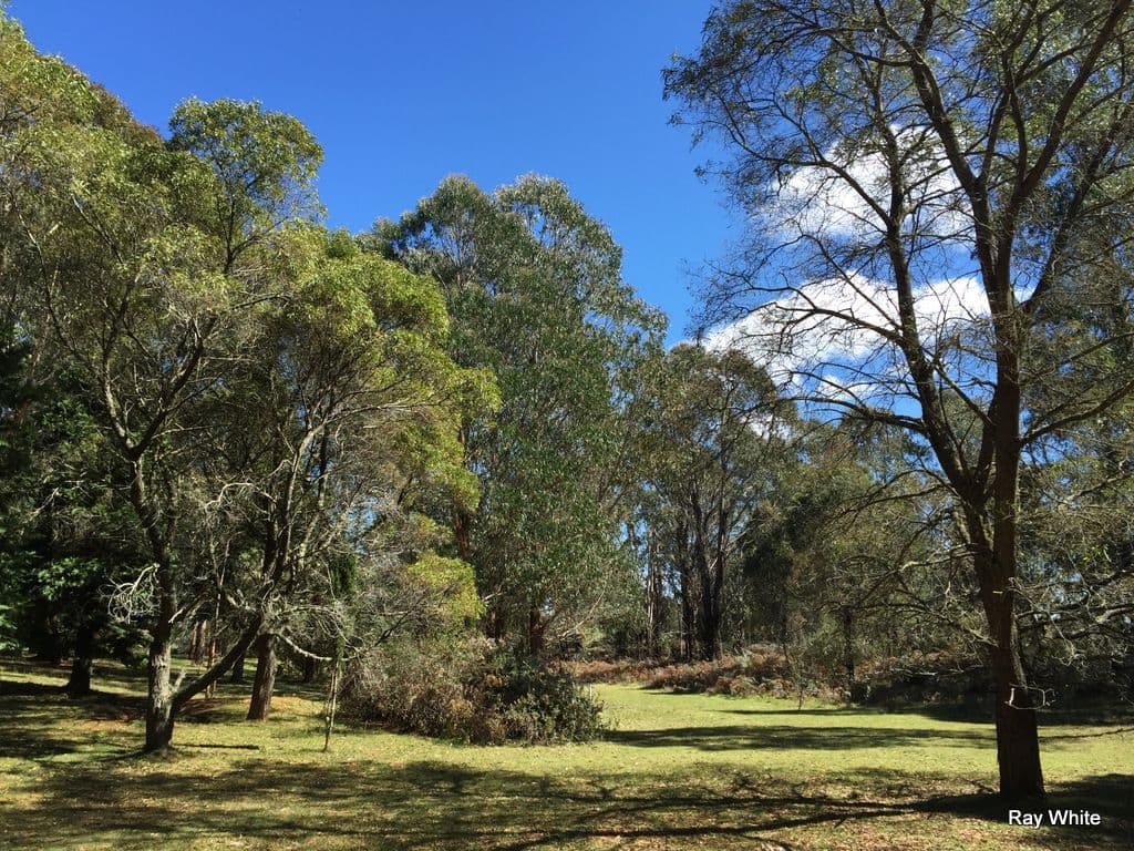 514 Charleys Forest Road, Braidwood NSW 2622, Braidwood - Thumbnail 6