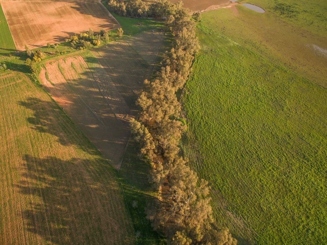 Cowra NSW 2794, Cowra - Thumbnail 4