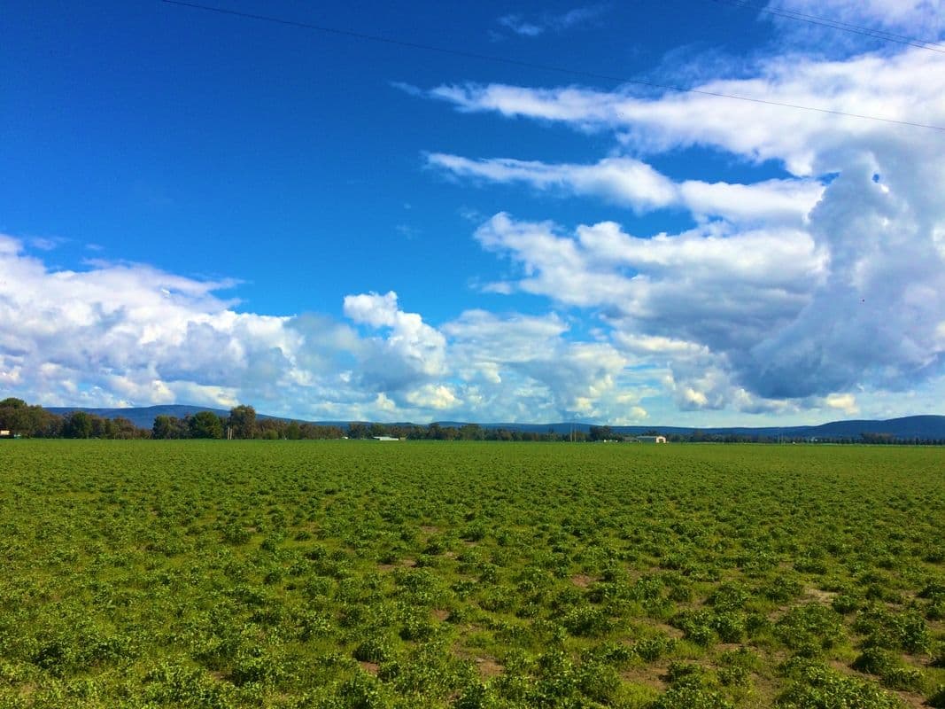 Cowra NSW 2794, Cowra - Thumbnail 5