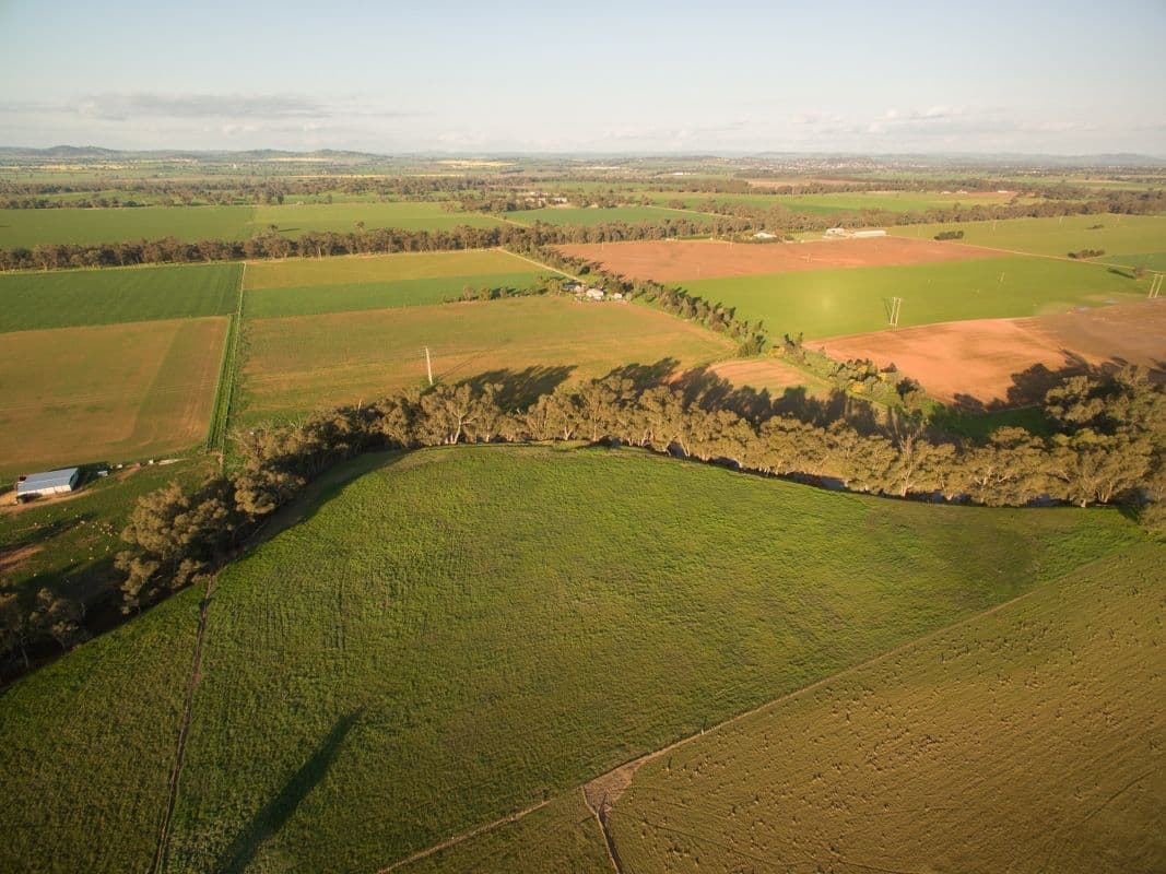 Cowra NSW 2794, Cowra - Image 1