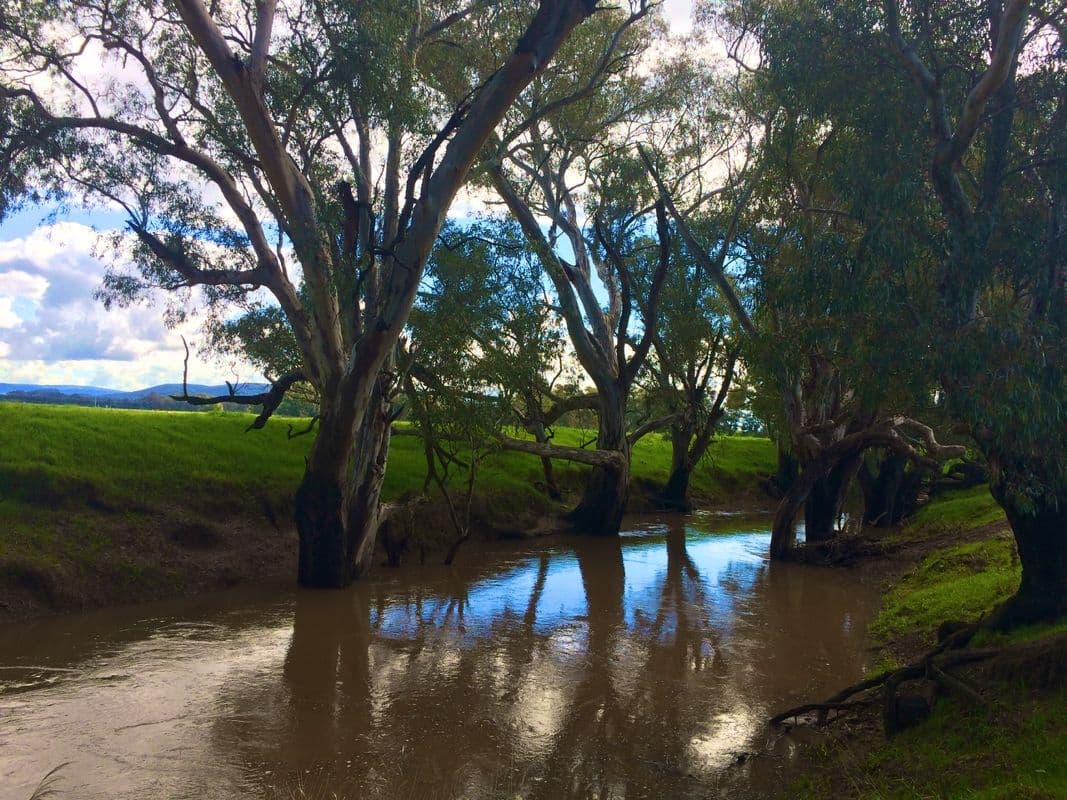 Cowra NSW 2794, Cowra - Thumbnail 2