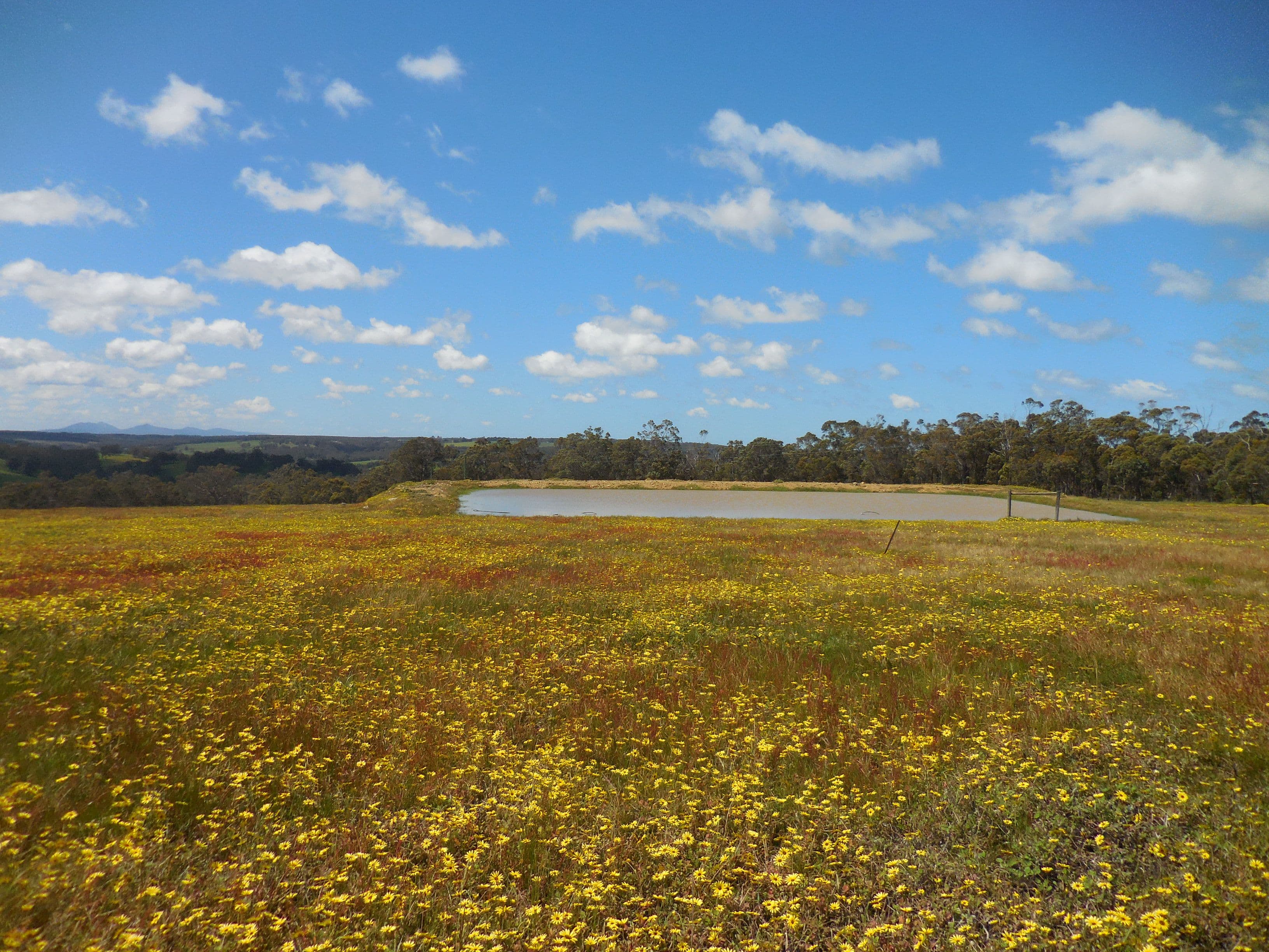 Lot 3 1602 Spencer Road, Narrikup WA 6326, Narrikup - Thumbnail 8