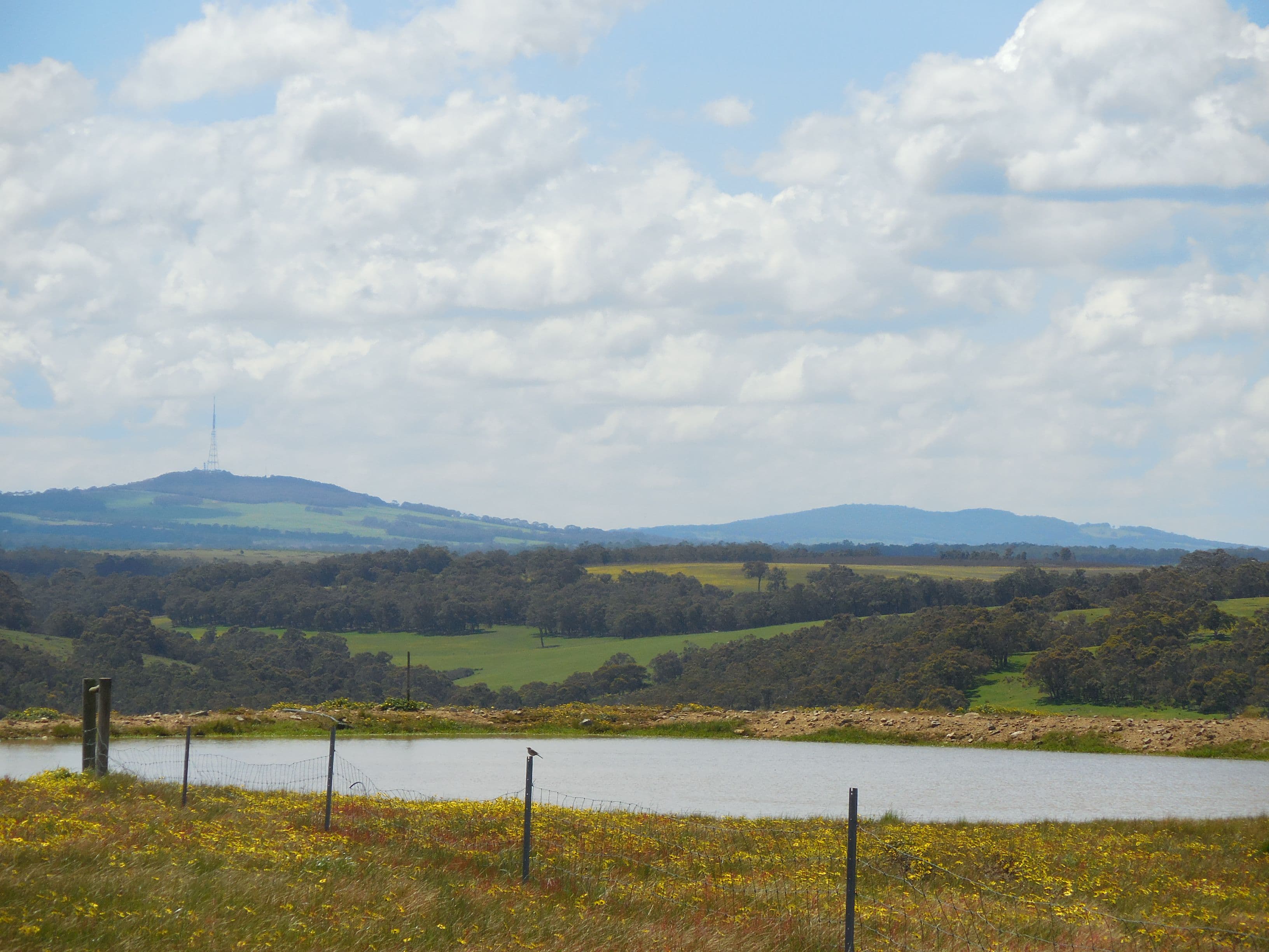 Lot 3 1602 Spencer Road, Narrikup WA 6326, Narrikup - Thumbnail 4