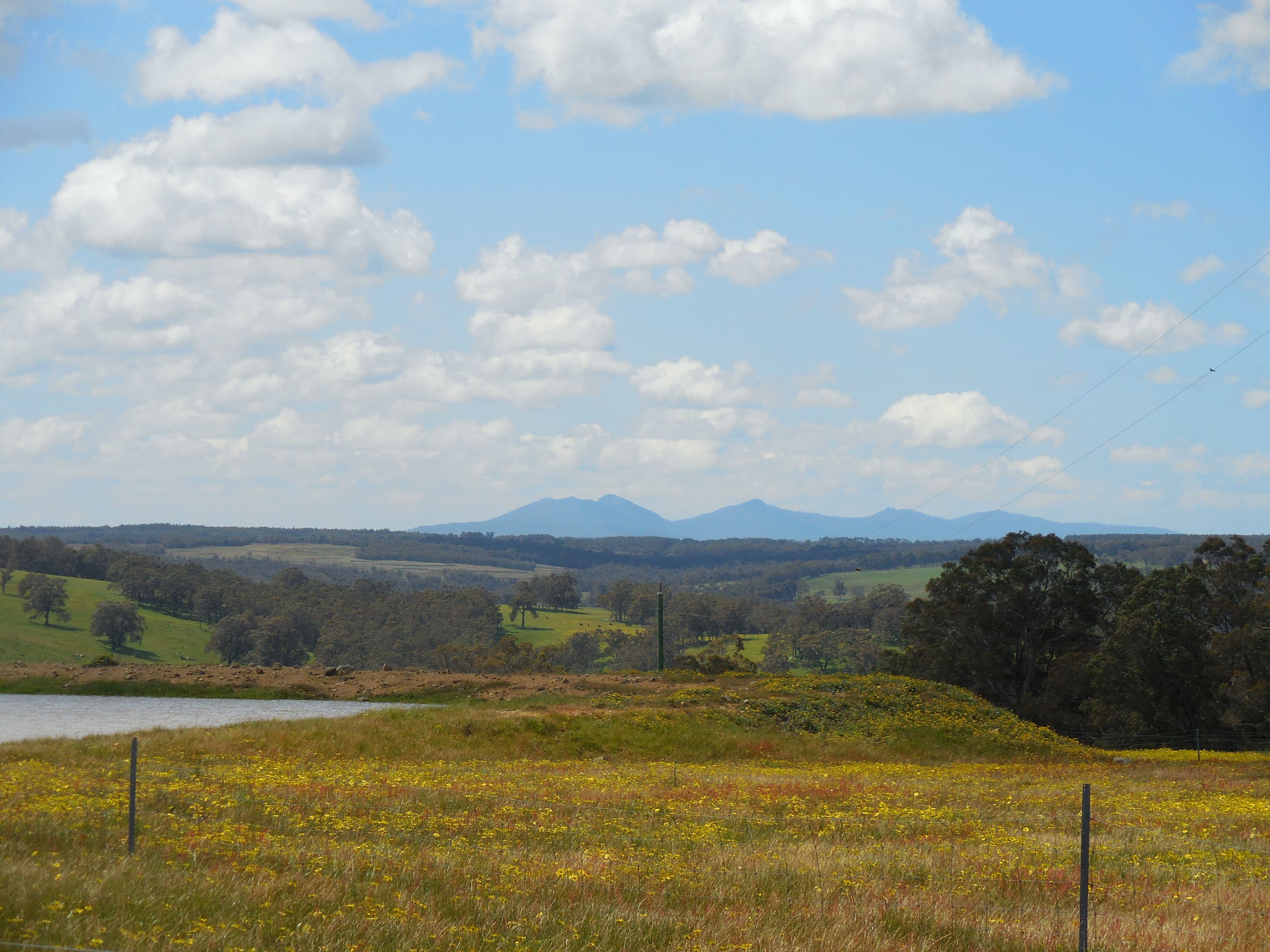 Lot 3 1602 Spencer Road, Narrikup WA 6326, Narrikup - Image 1