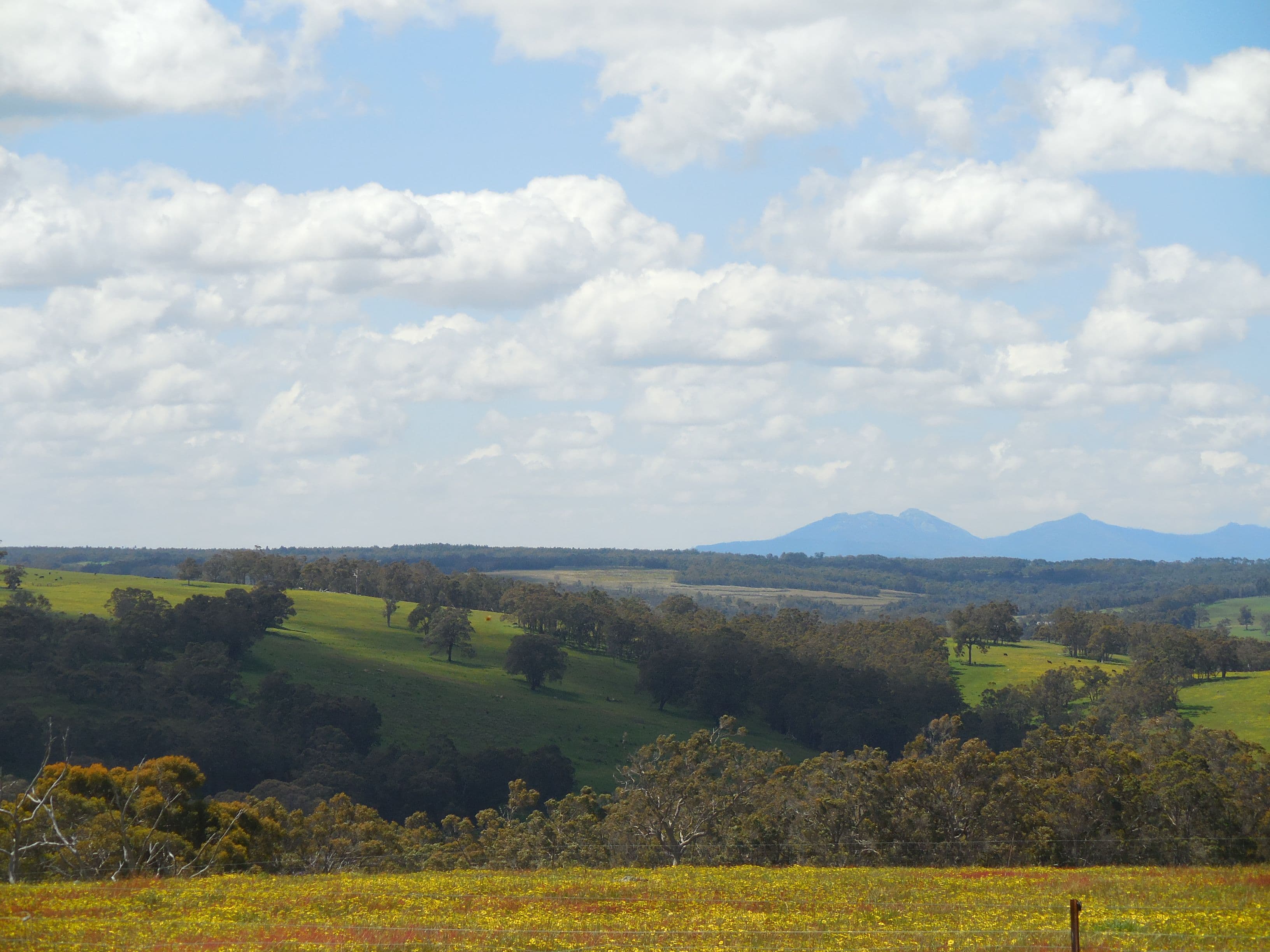 Lot 3 1602 Spencer Road, Narrikup WA 6326, Narrikup - Thumbnail 3