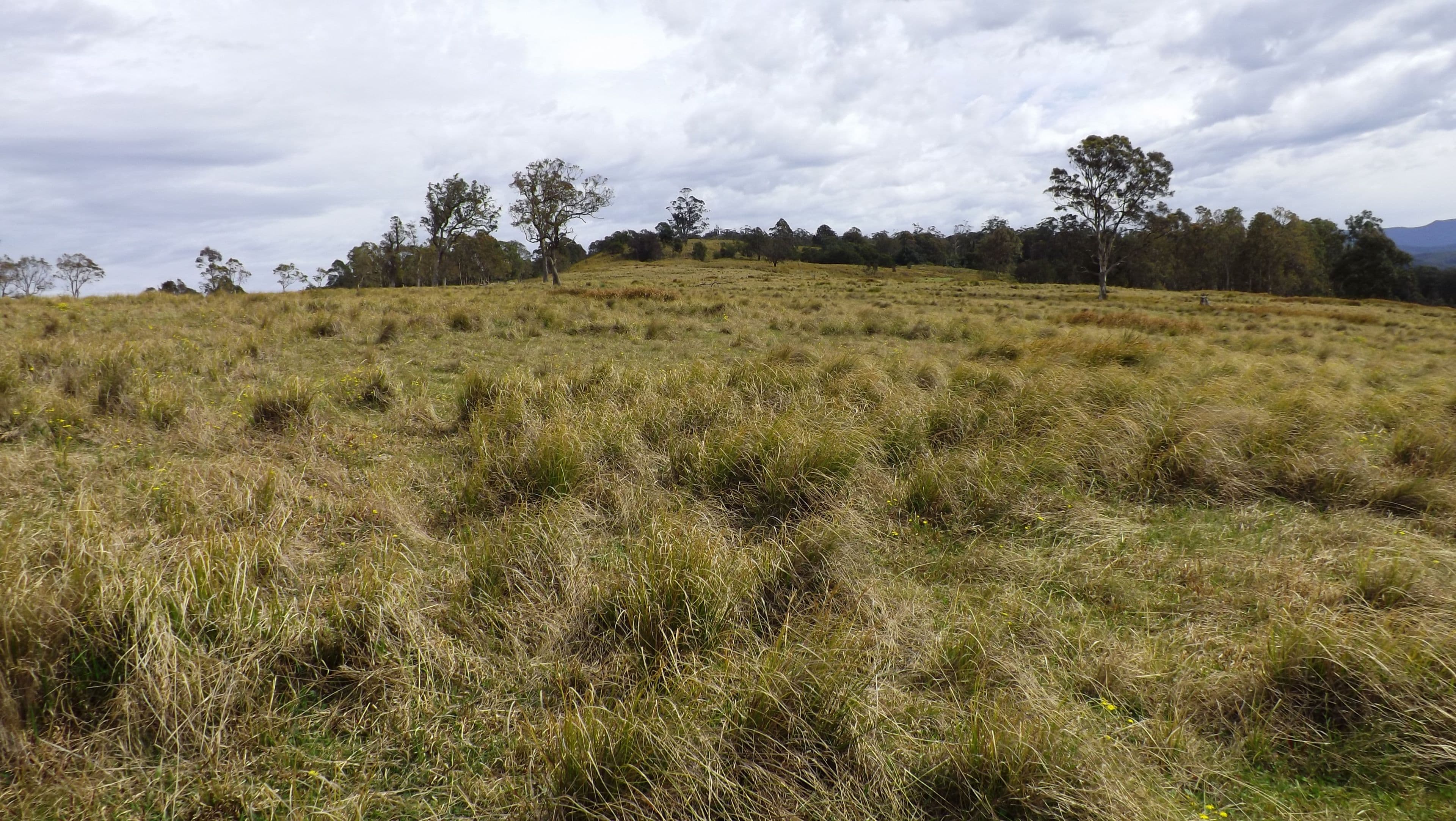 Gresford NSW 2311, East Gresford - Thumbnail 8