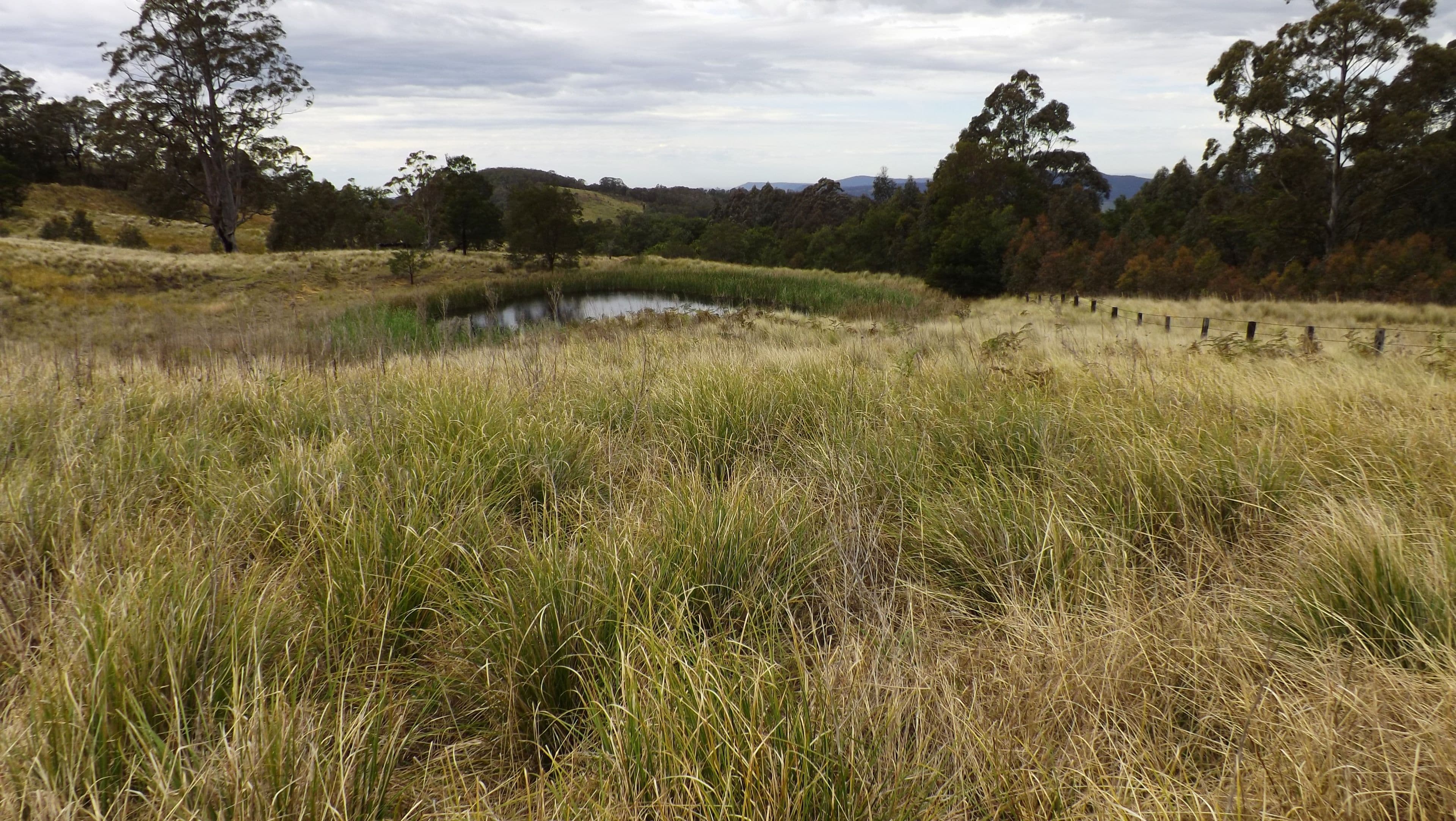 Gresford NSW 2311, East Gresford - Thumbnail 7