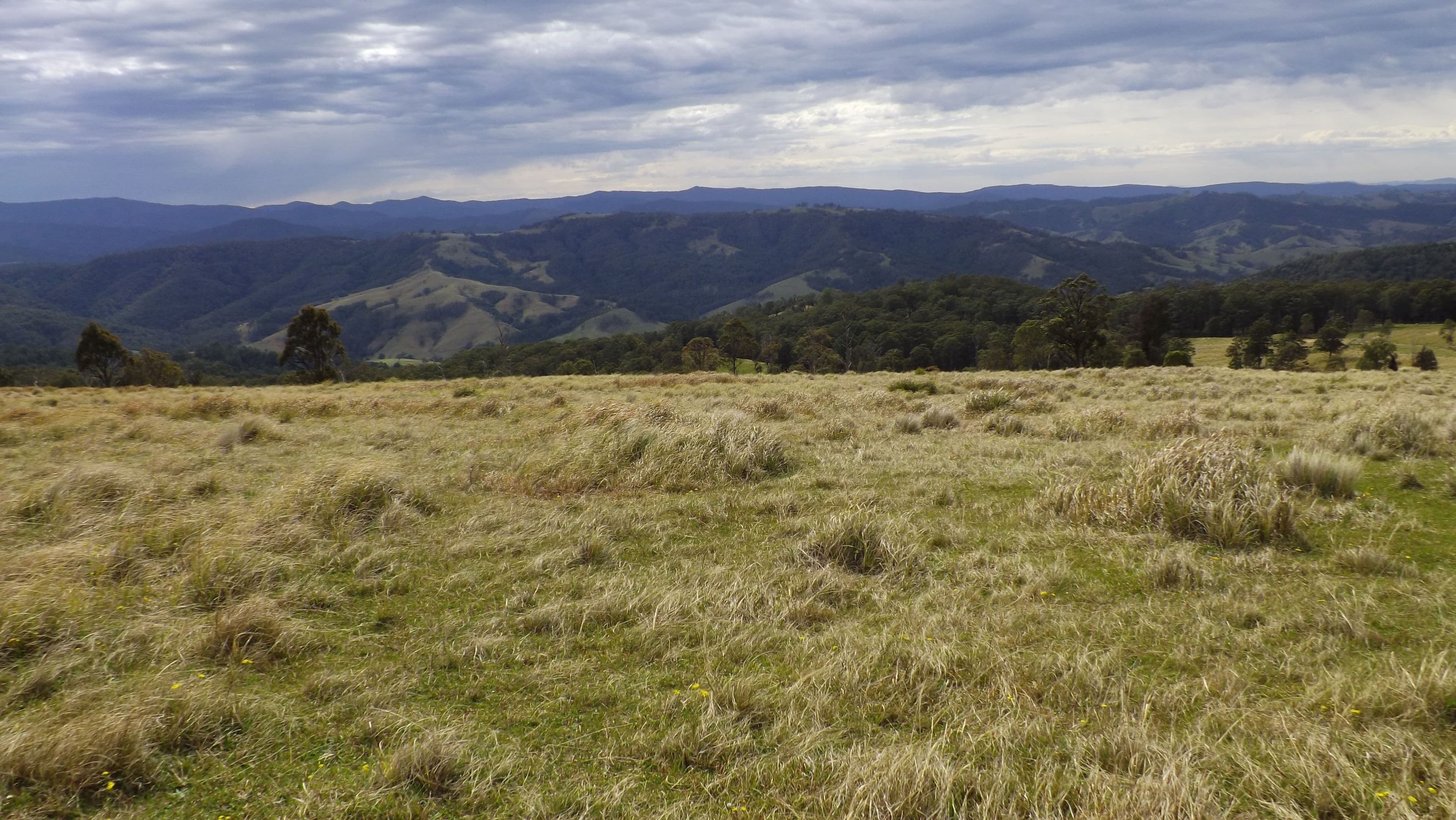 Gresford NSW 2311, East Gresford - Image 1