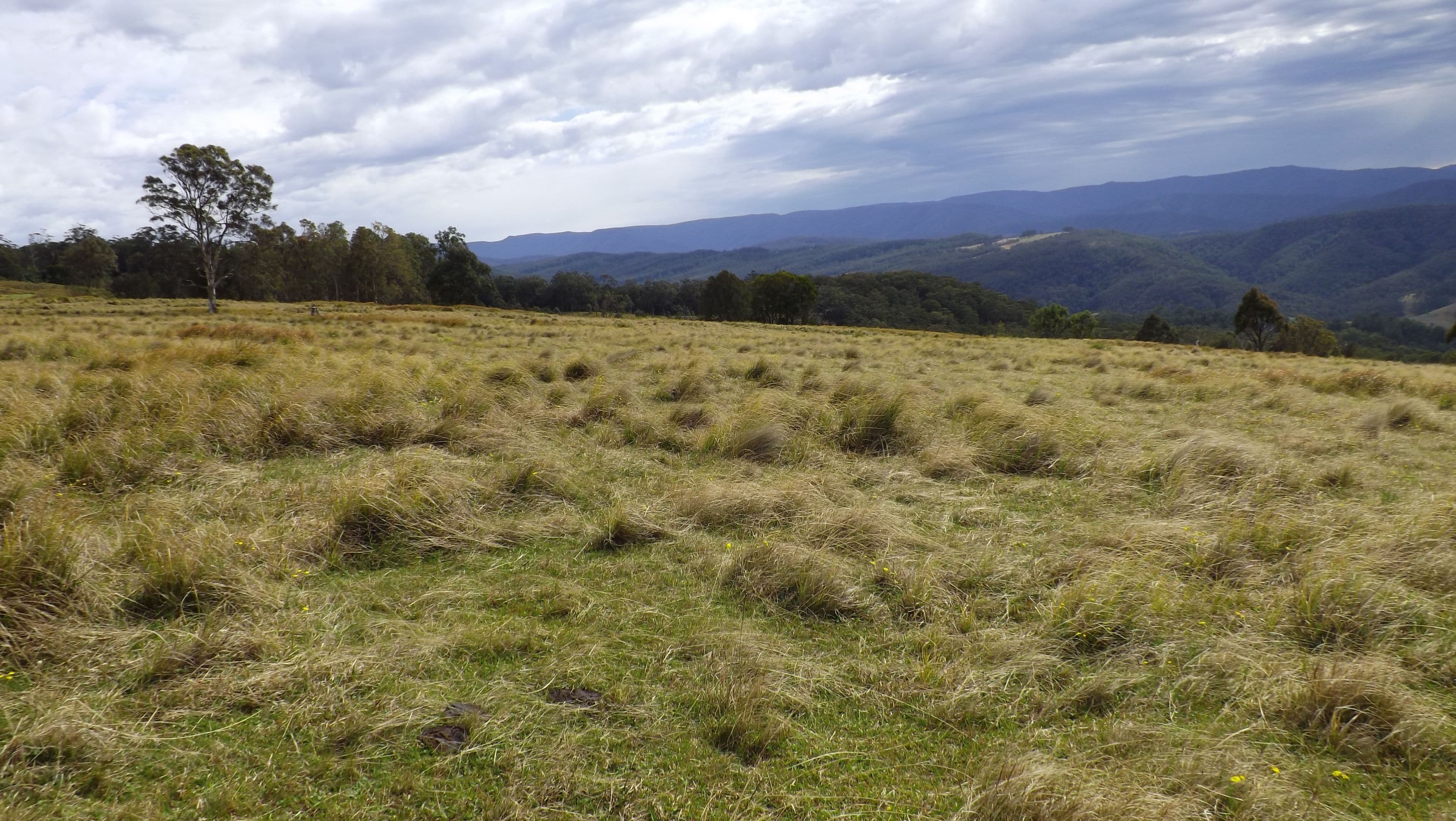 Gresford NSW 2311, East Gresford - Thumbnail 2