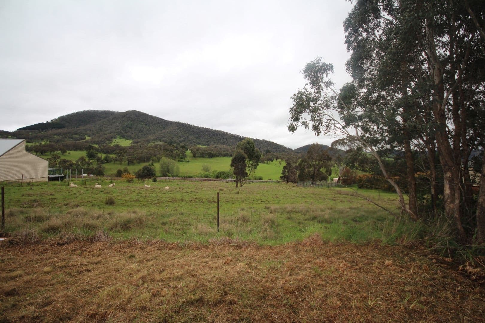 10 Mutton Falls Road, Tarana NSW 2787, Tarana - Thumbnail 4