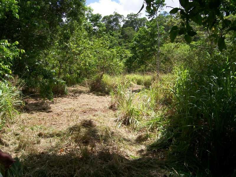 2340 Innisfail Japoon Road, Mena Creek QLD 4871, Mena Creek - Thumbnail 5