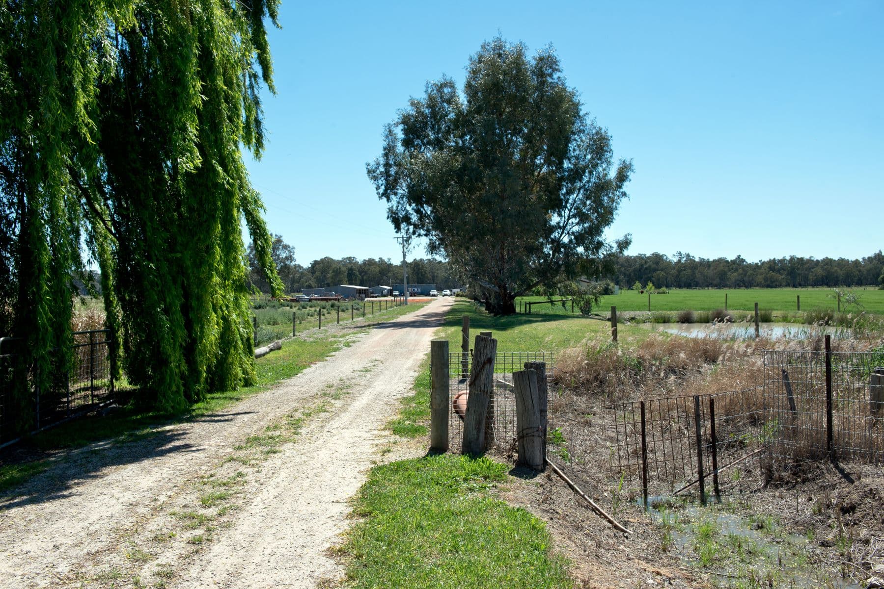 698 Tyntynder Road, Speewa VIC 3585, Speewa - Image 1