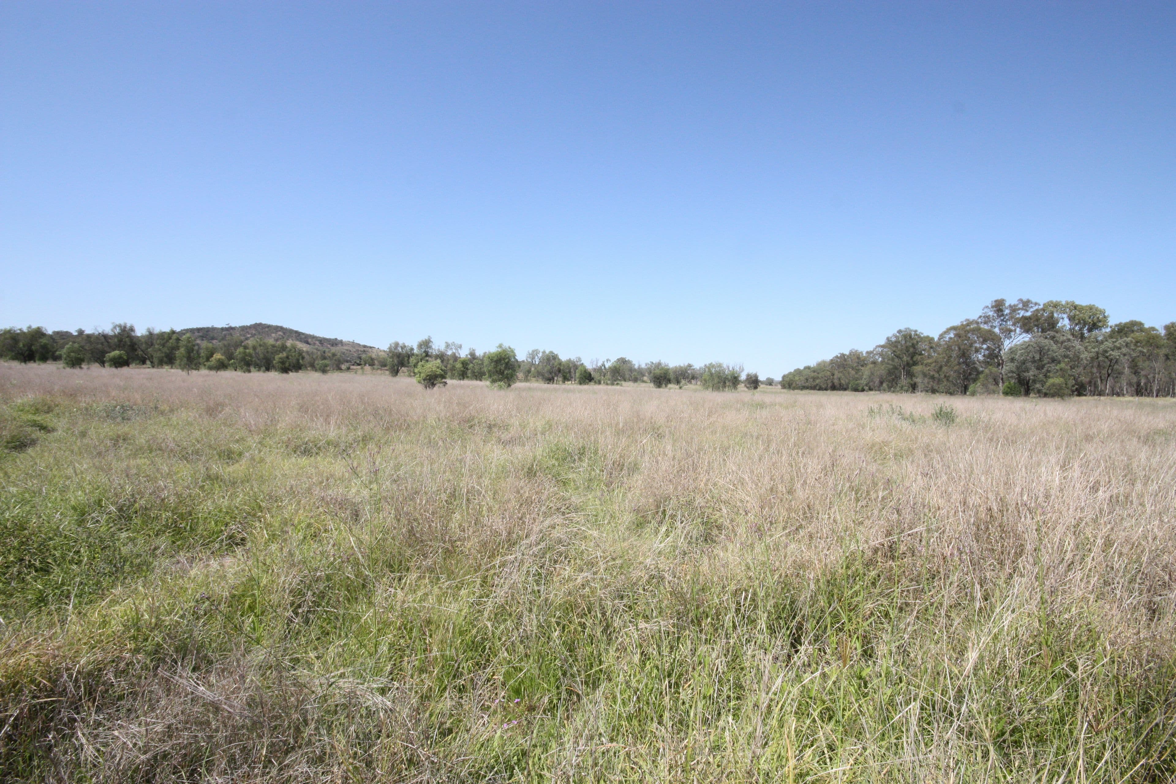 775 Drumburle Road, Thangool QLD 4716, Thangool - Image 1