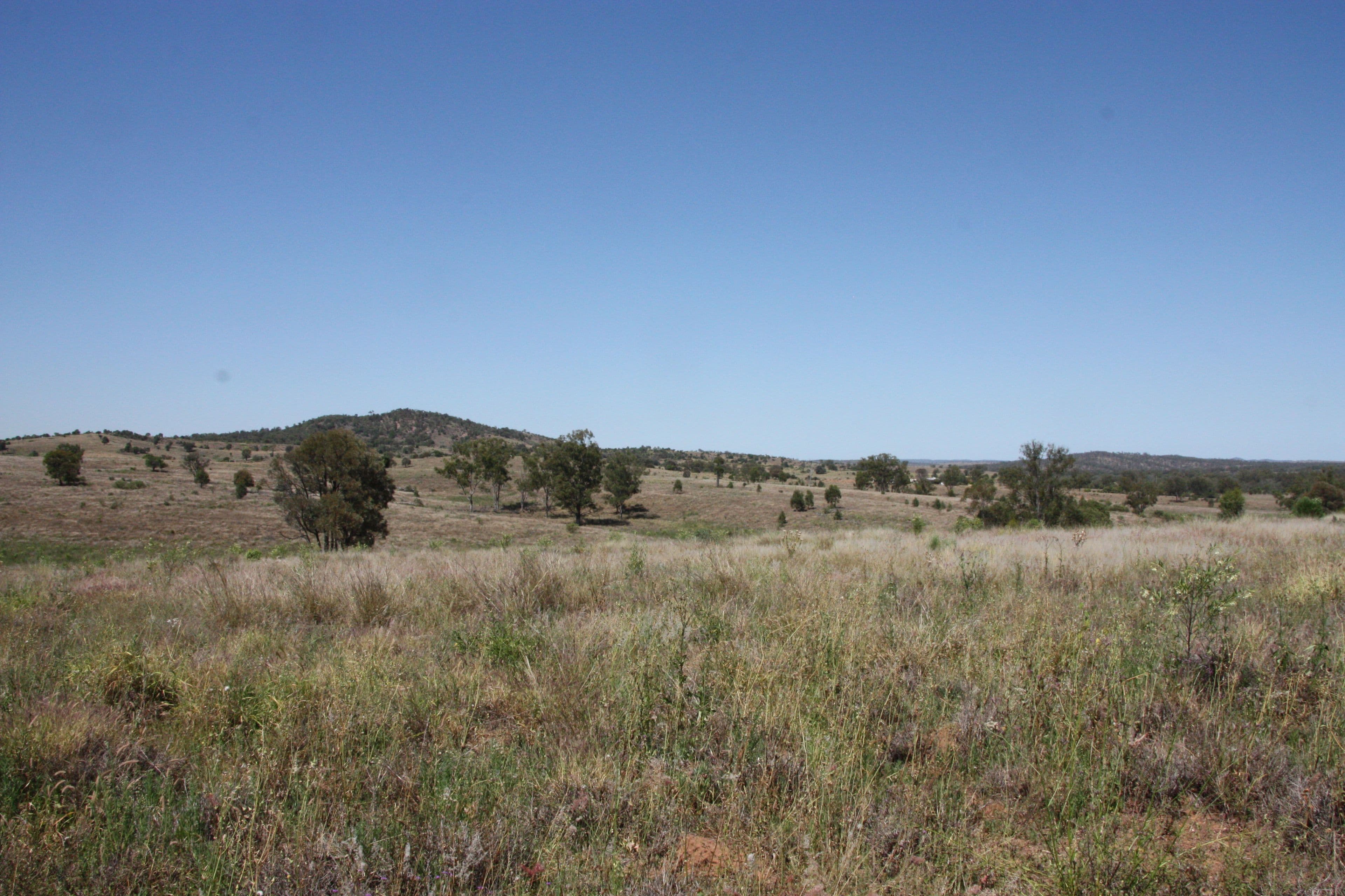 775 Drumburle Road, Thangool QLD 4716, Thangool - Thumbnail 7