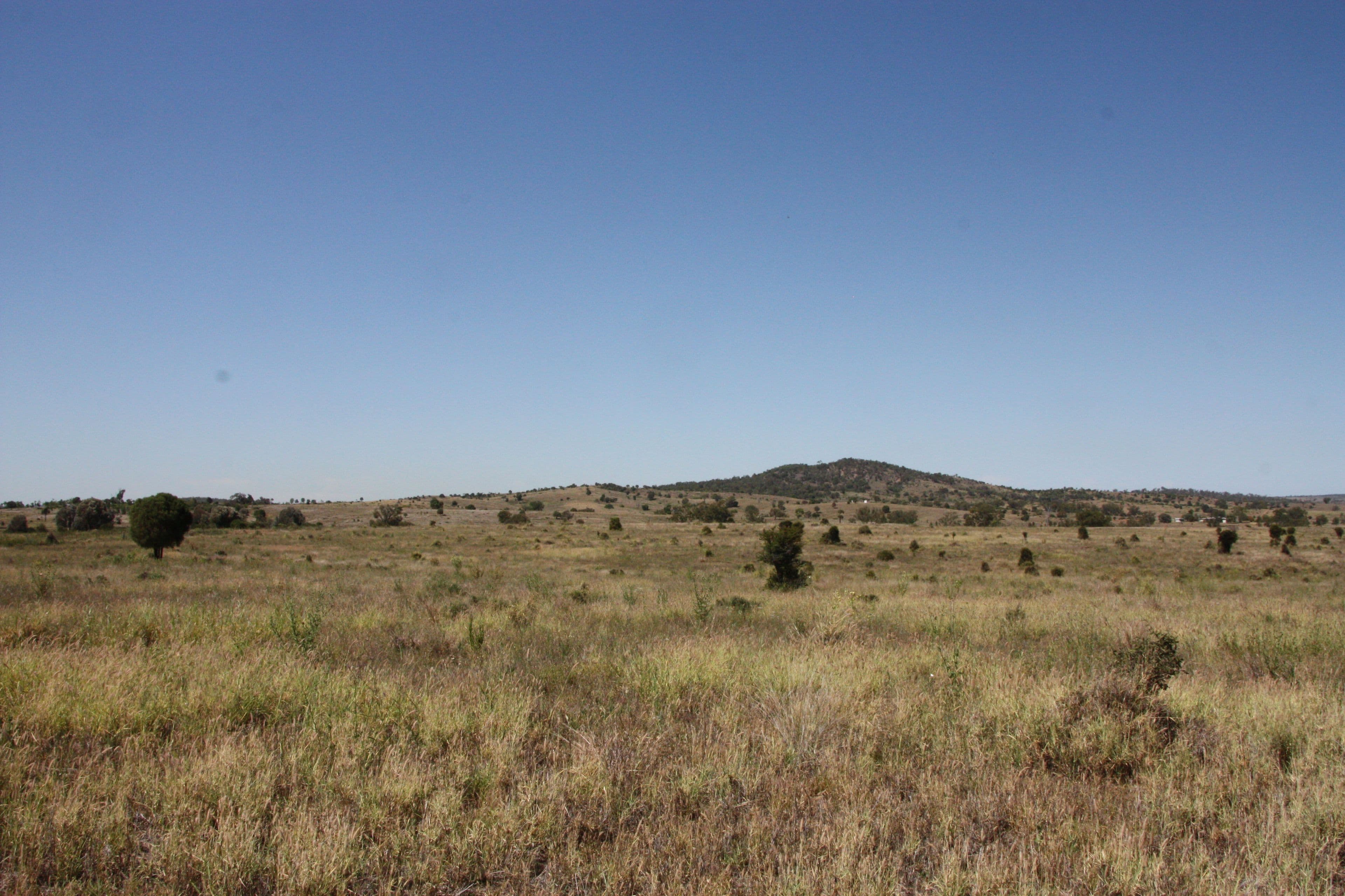 775 Drumburle Road, Thangool QLD 4716, Thangool - Thumbnail 8