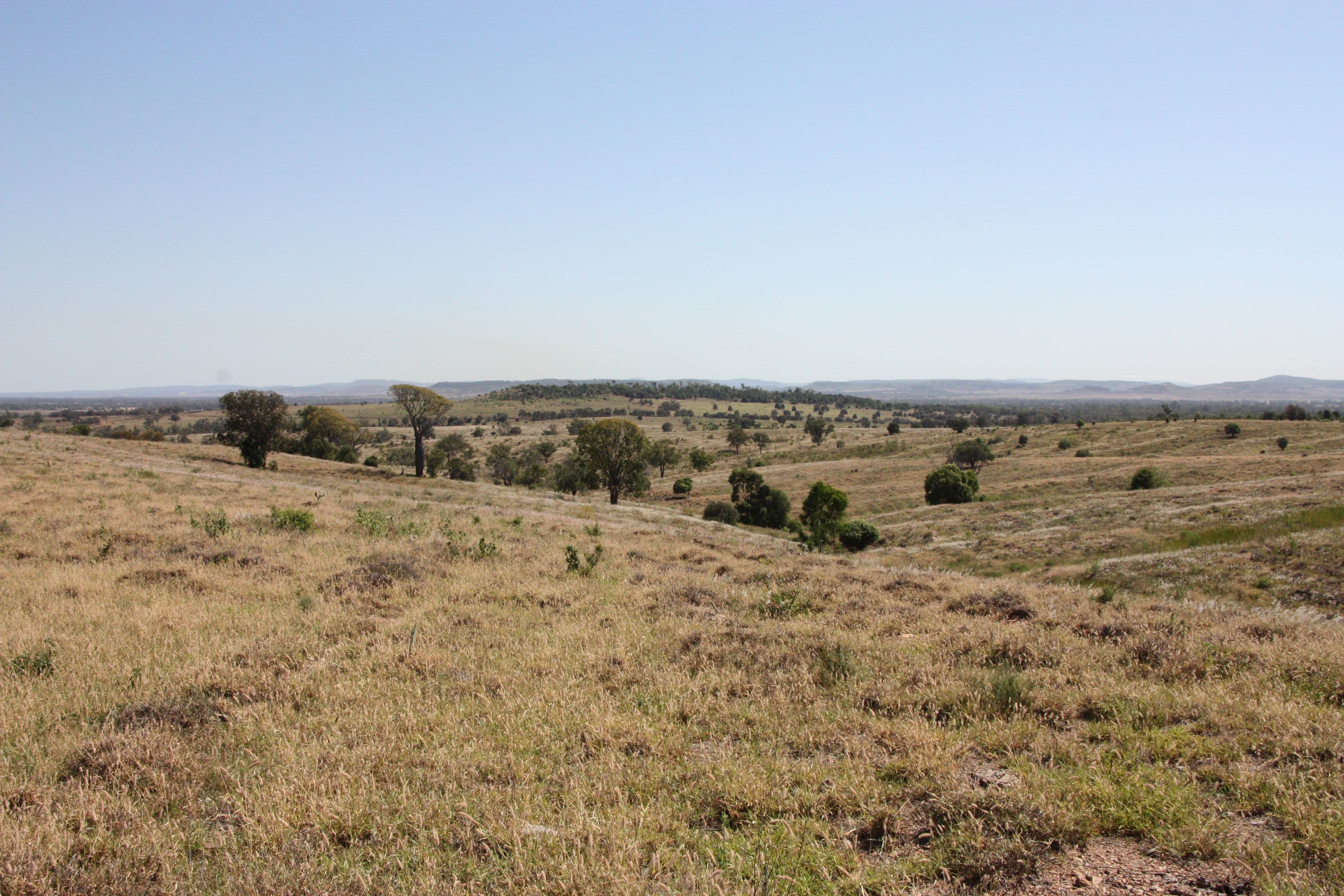 775 Drumburle Road, Thangool QLD 4716, Thangool - Thumbnail 6