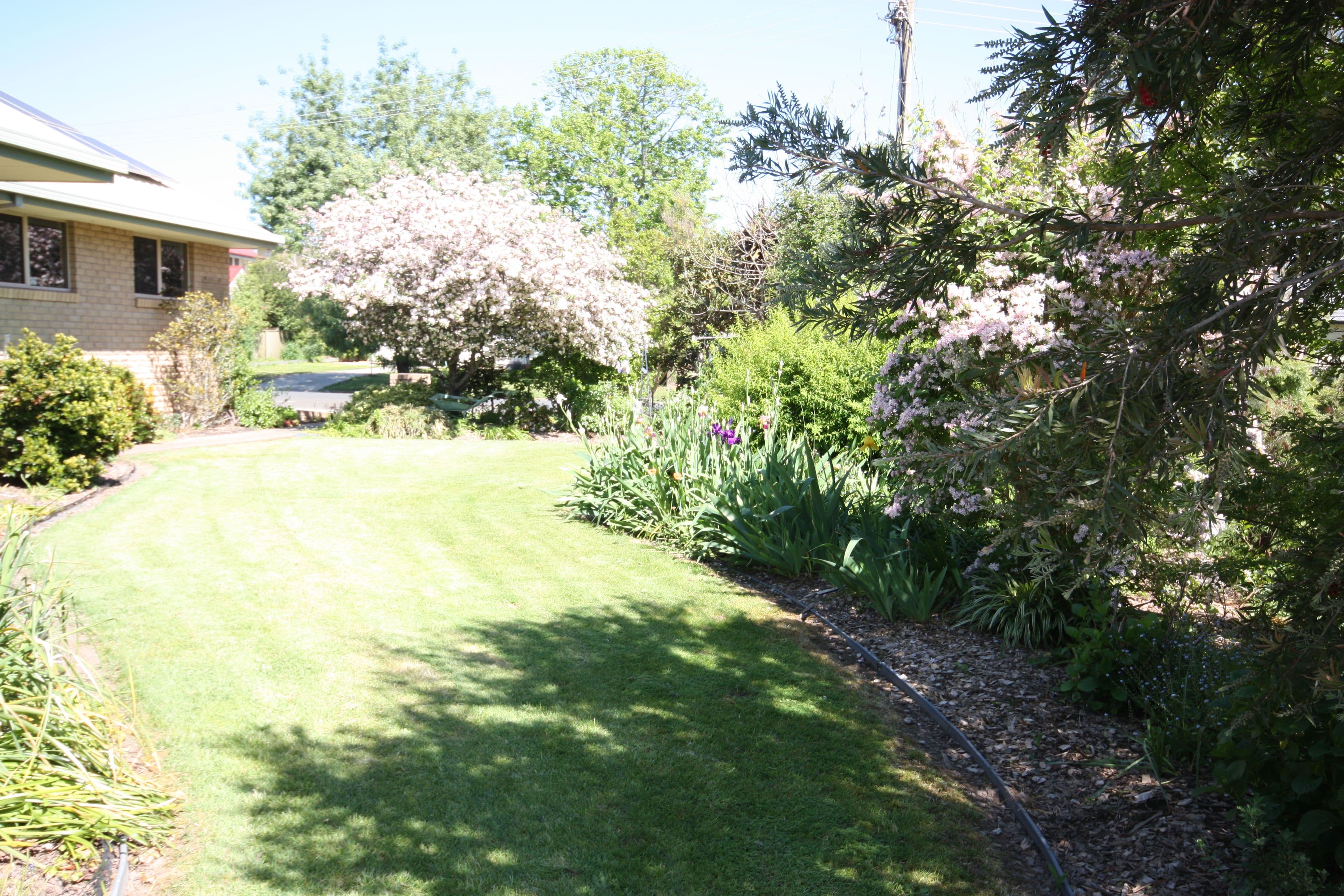 21 South Street, Benalla VIC 3672, Benalla - Thumbnail 5