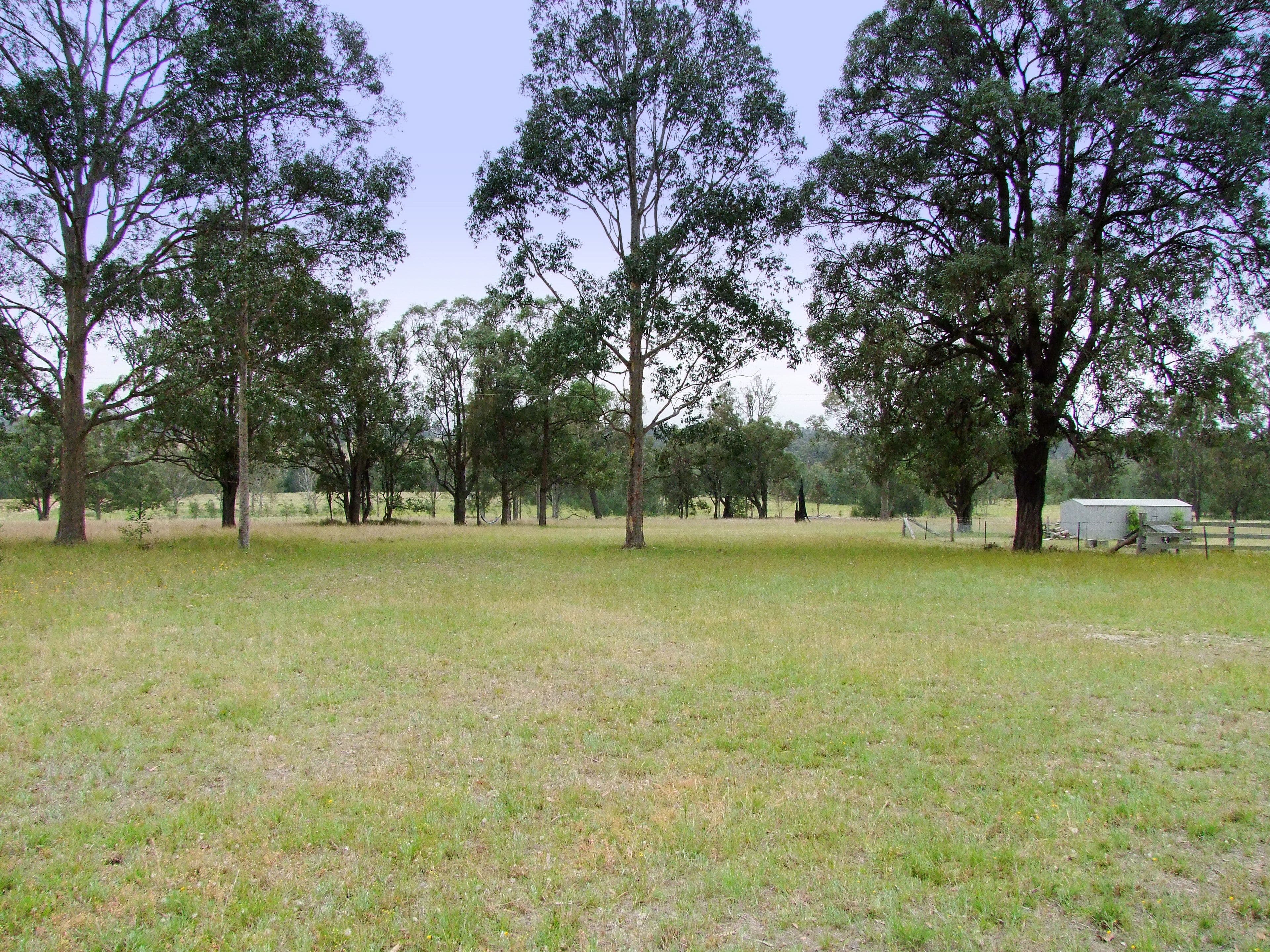 596C Dyrring Road, Singleton NSW 2330, Singleton - Thumbnail 2