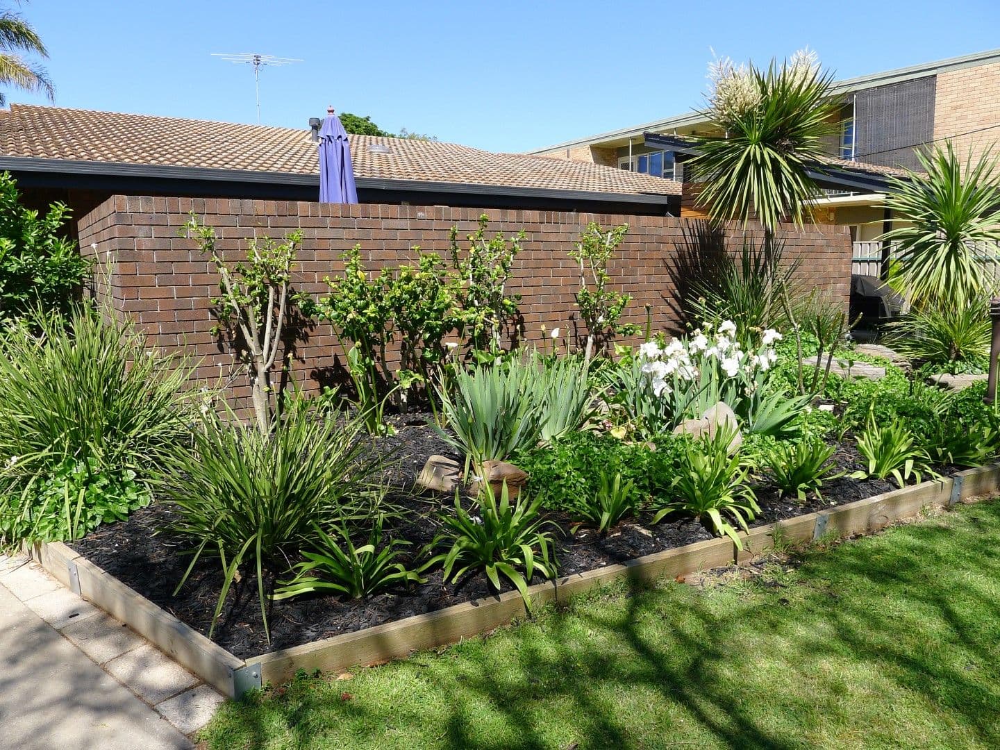 1/23 Thames Street, Clarence Park SA 5034, Clarence Park - Image 1