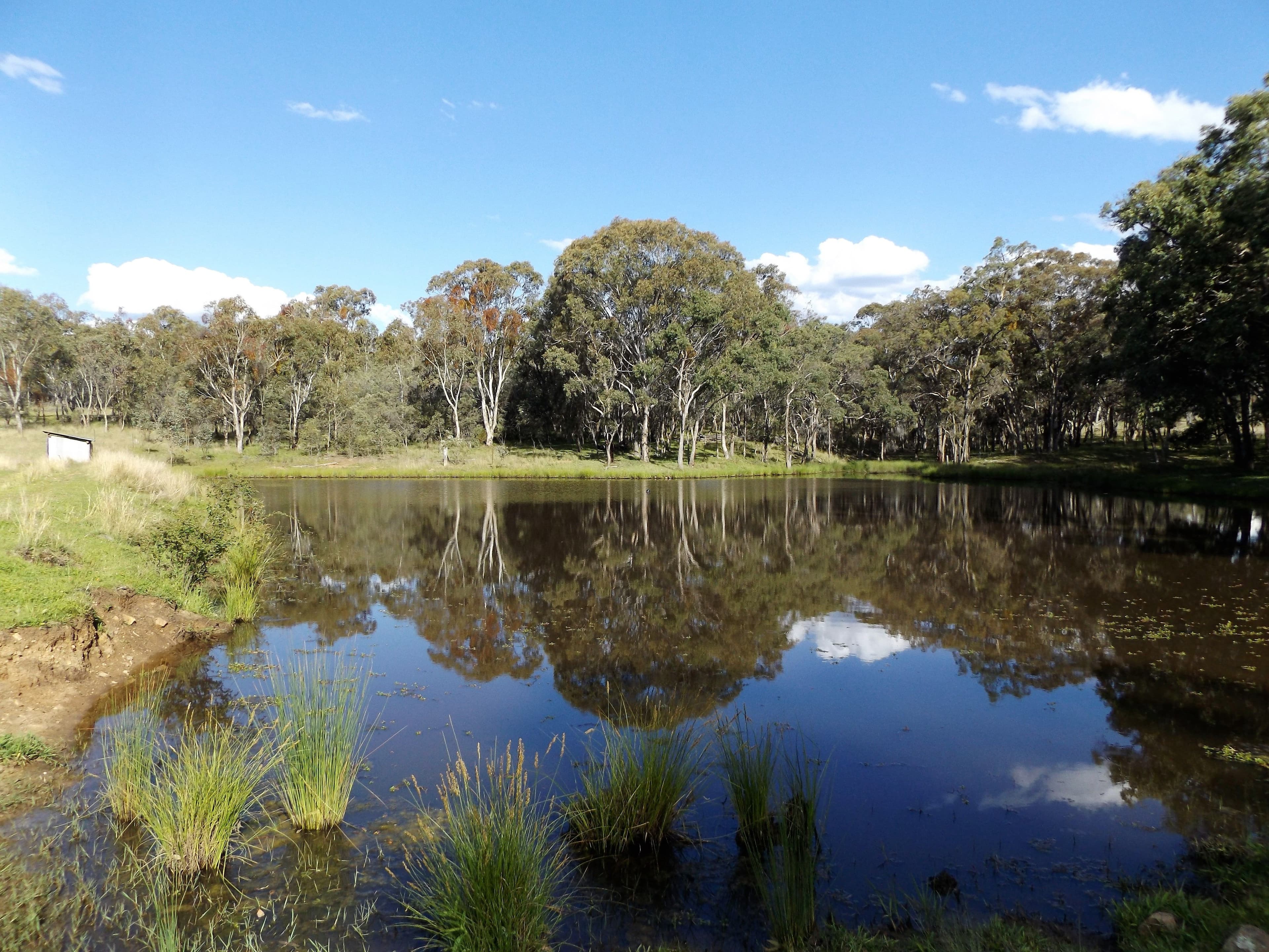 0 Strathbogie Road, Glen Innes NSW 2370, Glen Innes - Thumbnail 2