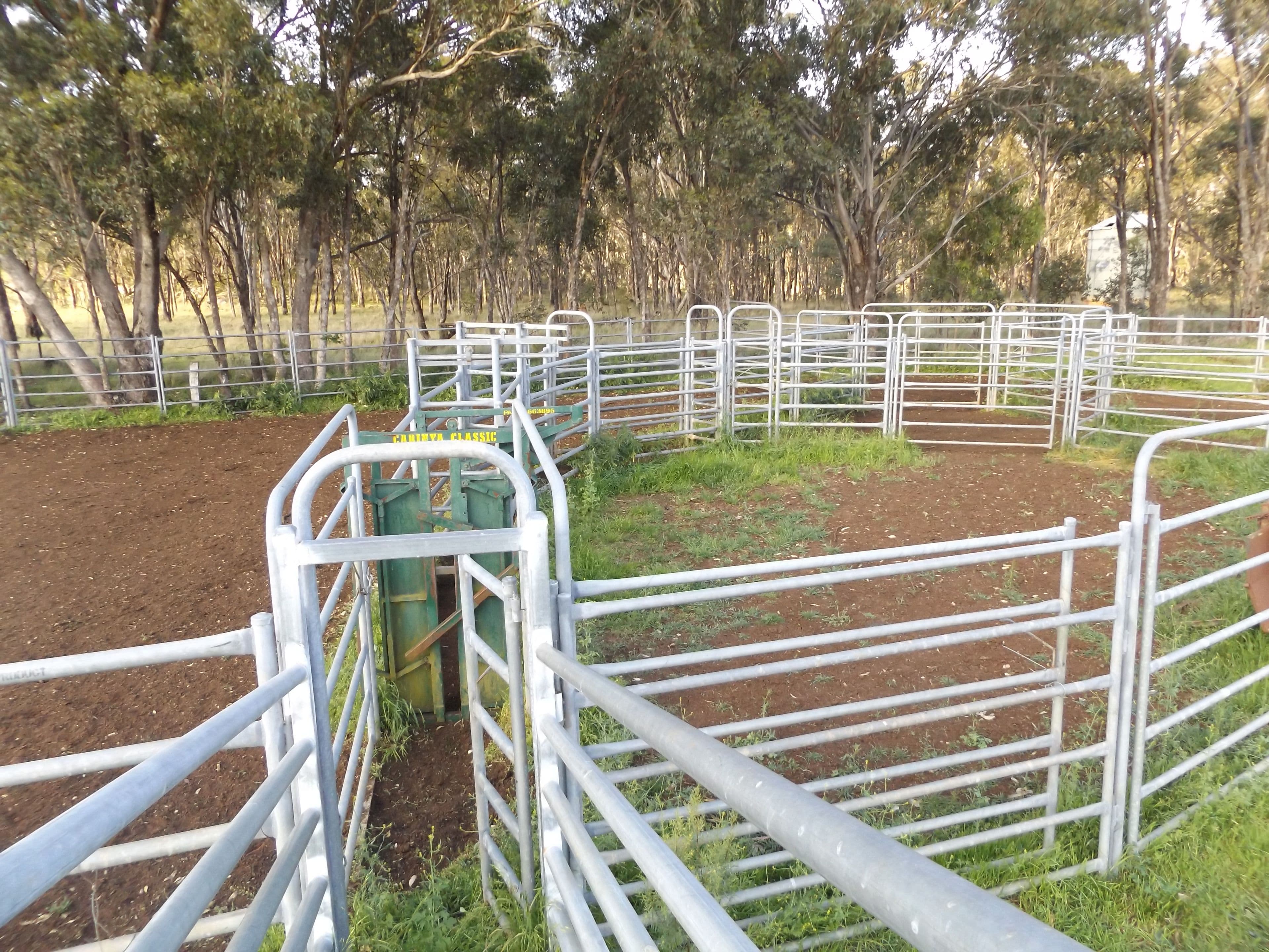 0 Strathbogie Road, Glen Innes NSW 2370, Glen Innes - Thumbnail 3