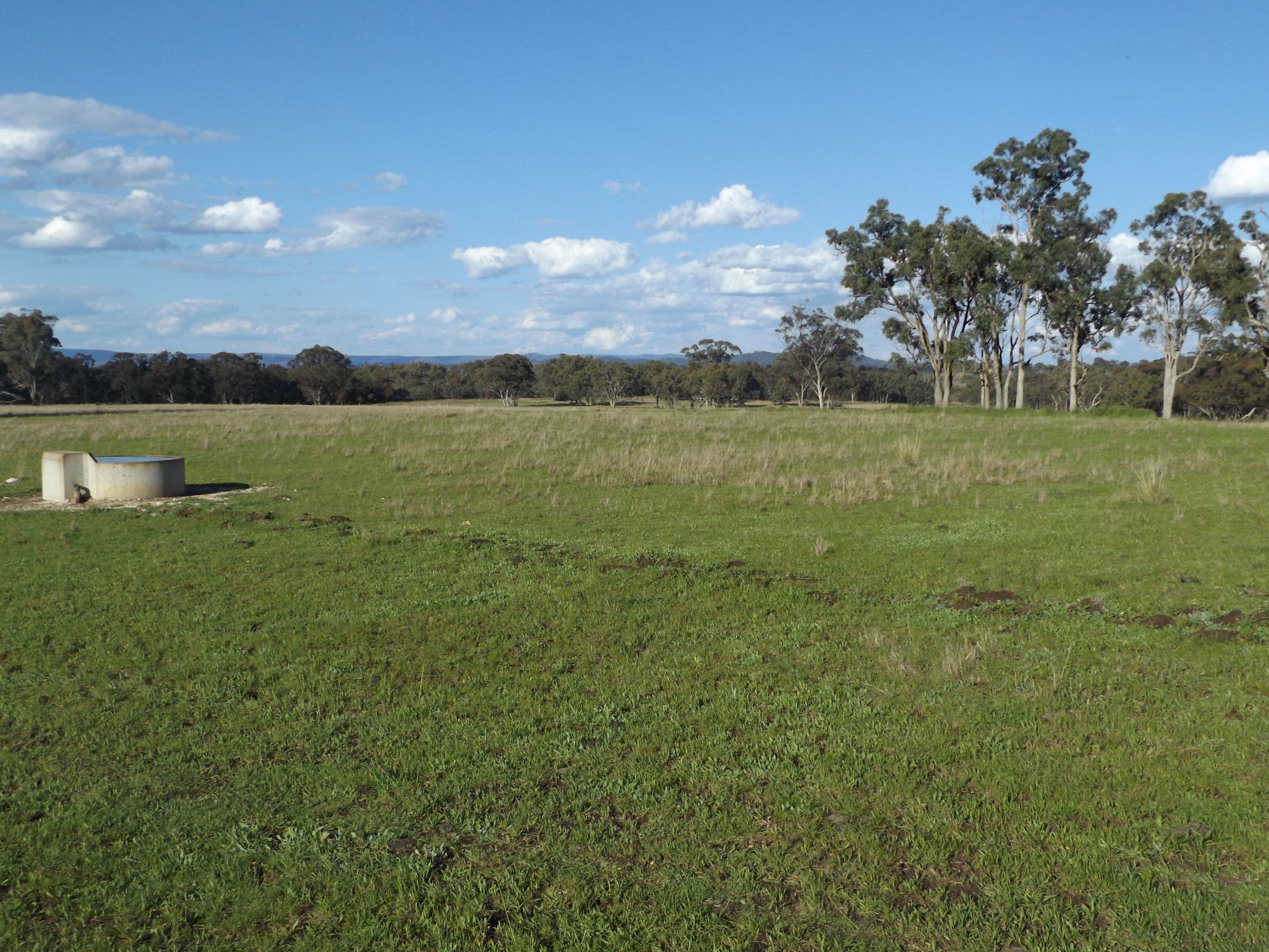 0 Strathbogie Road, Glen Innes NSW 2370, Glen Innes - Thumbnail 8
