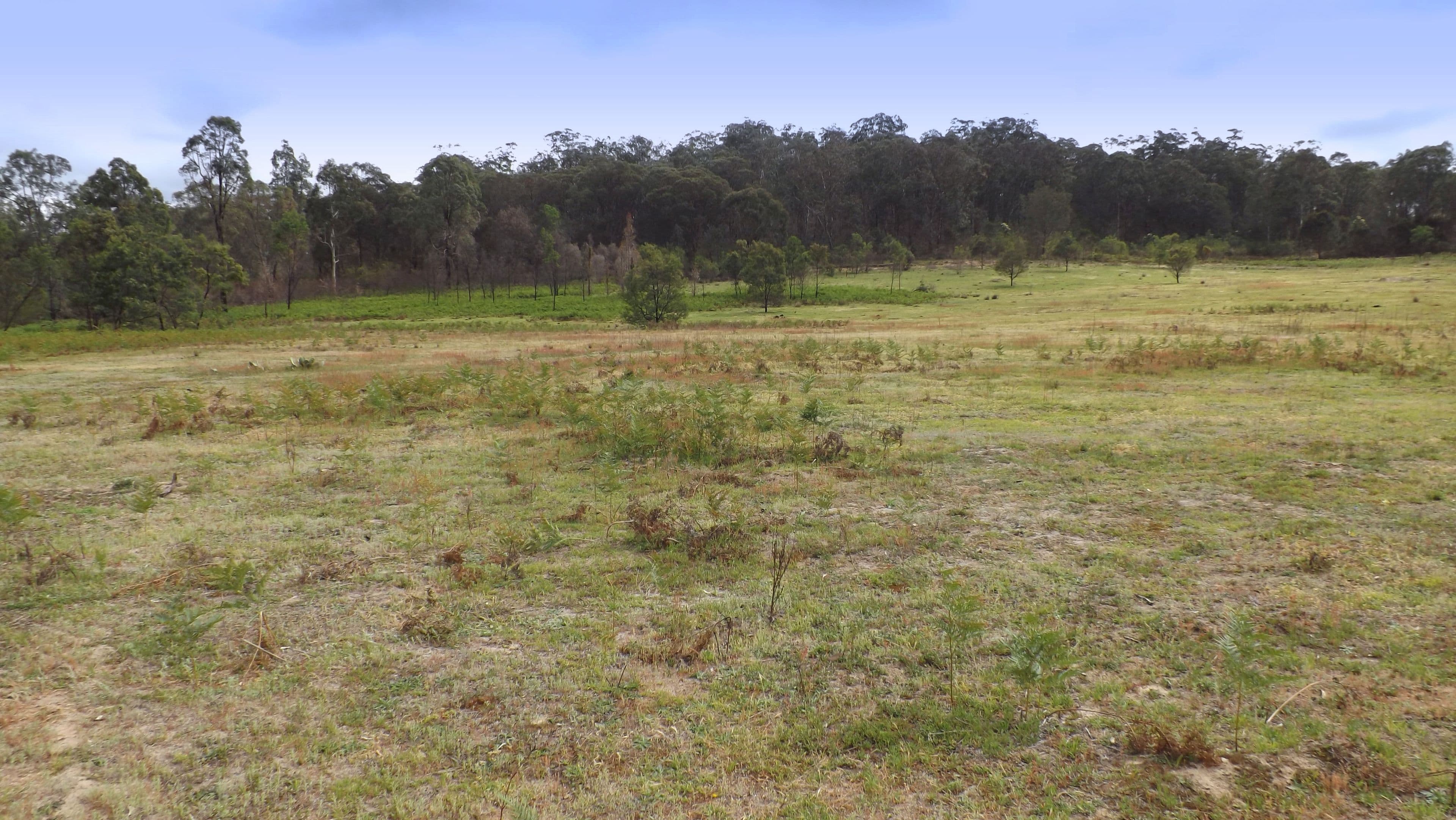 5729 Putty Road, Howes Valley NSW 2330, Howes Valley - Thumbnail 3