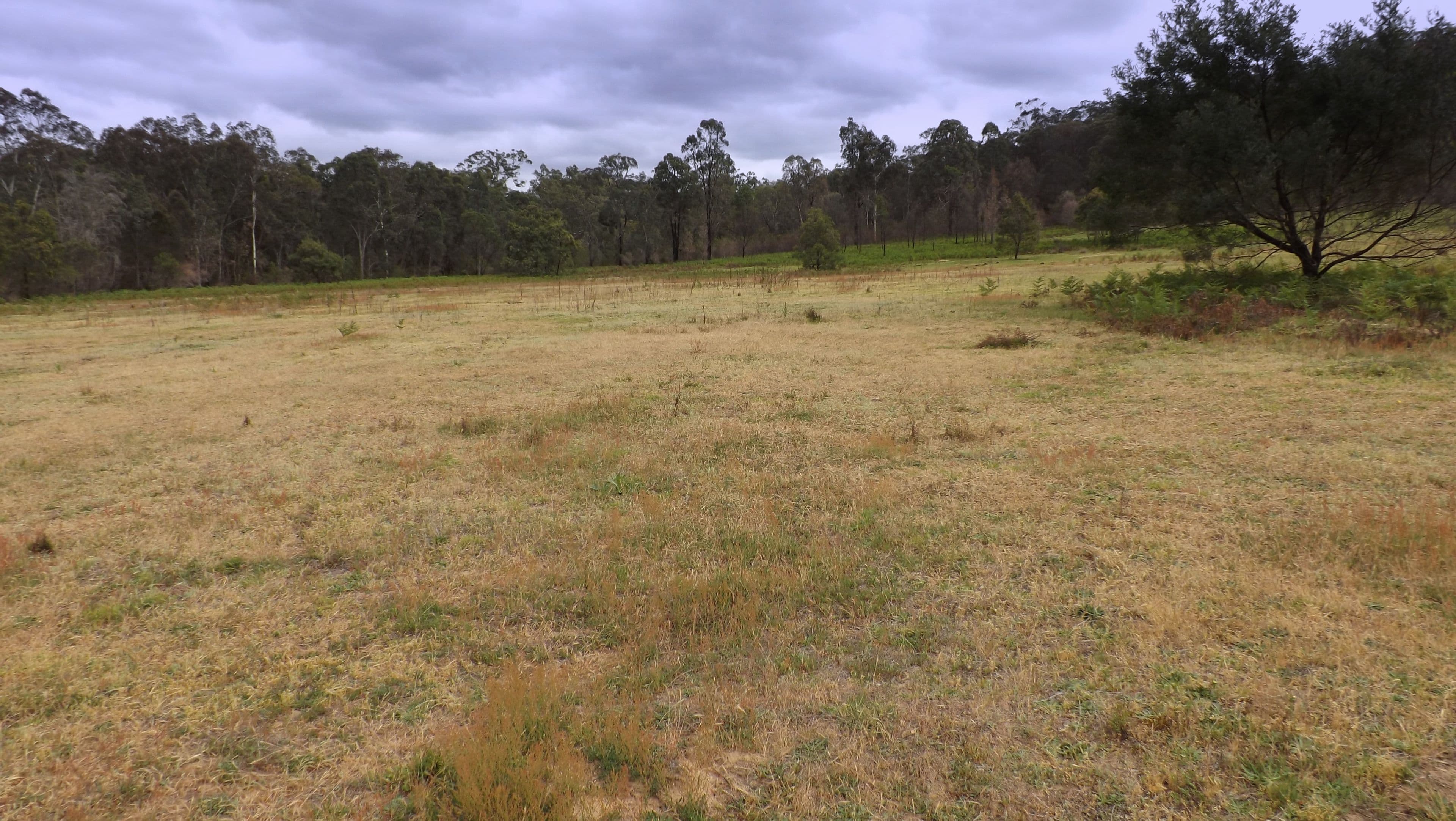 5729 Putty Road, Howes Valley NSW 2330, Howes Valley - Thumbnail 5