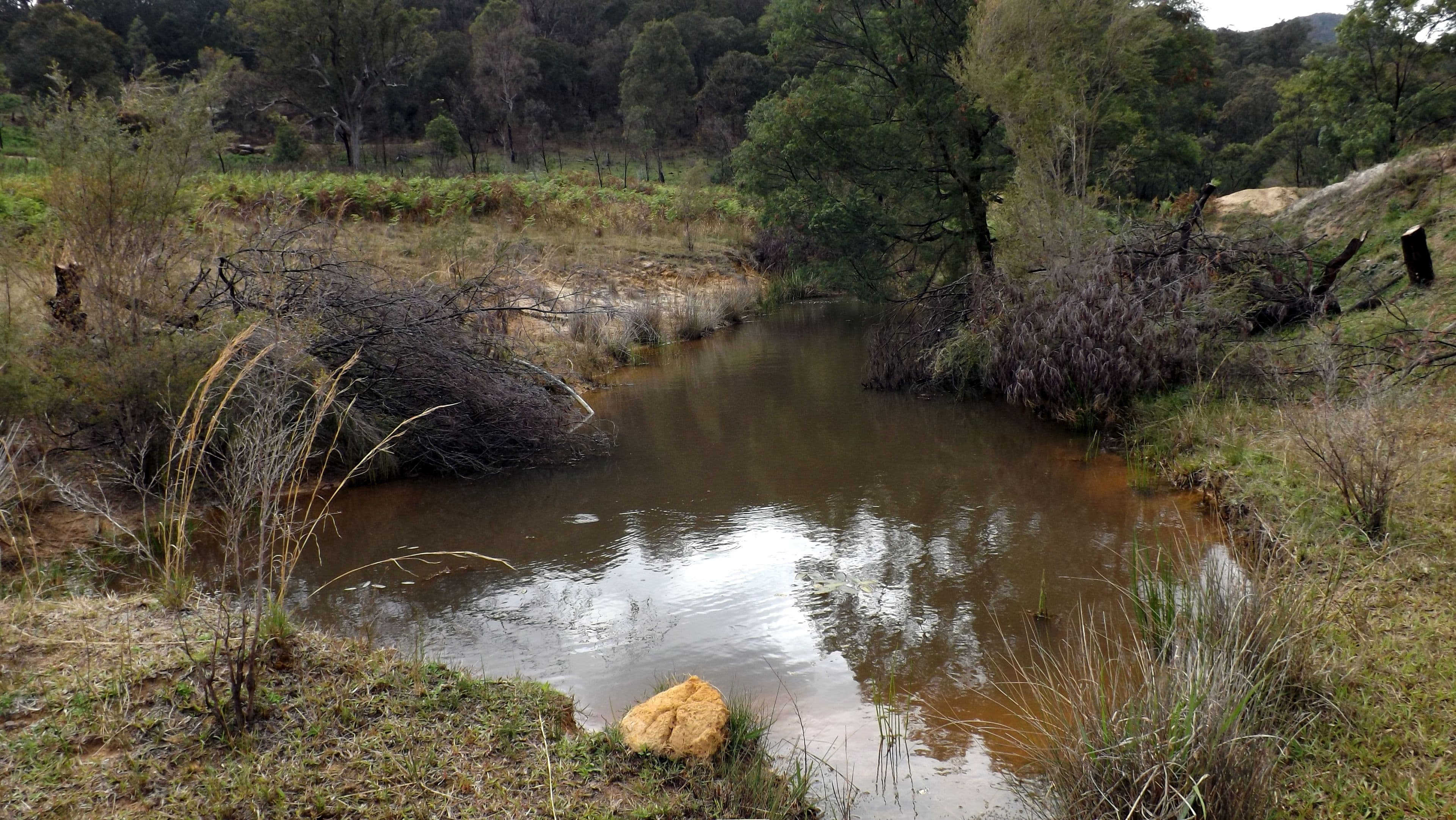5729 Putty Road, Howes Valley NSW 2330, Howes Valley - Thumbnail 4