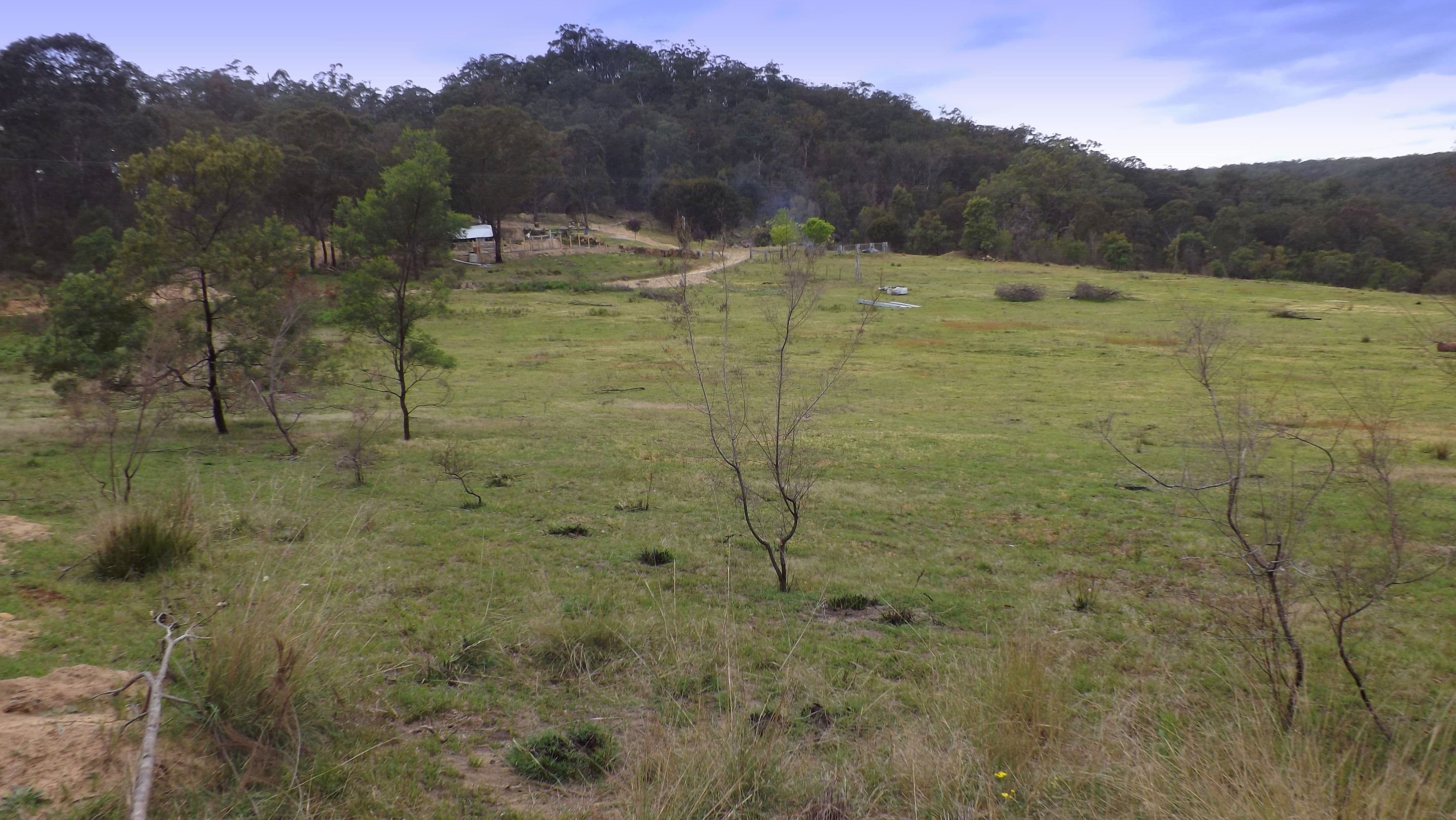 5729 Putty Road, Howes Valley NSW 2330, Howes Valley - Thumbnail 8