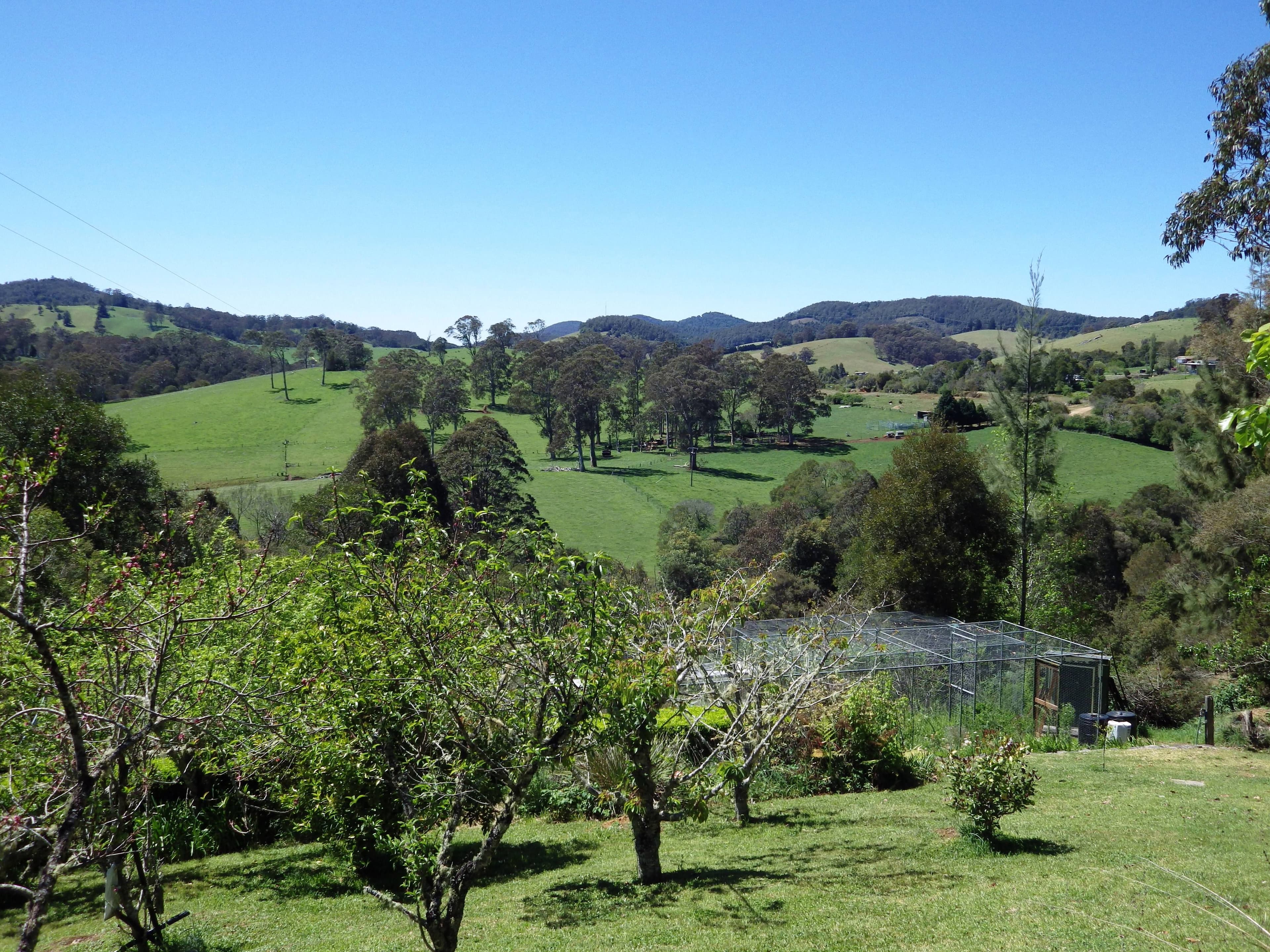 90 Rodgers Road East, Megan NSW 2453, Megan - Thumbnail 3