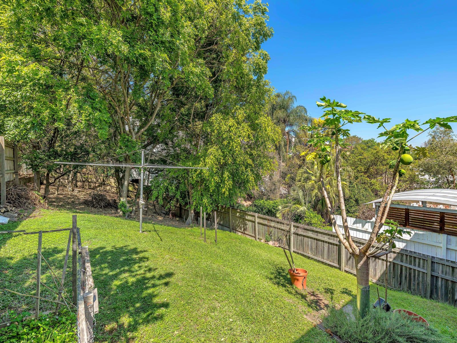 44 Zig Zag Street, Red Hill QLD 4059, Red Hill - Thumbnail 8