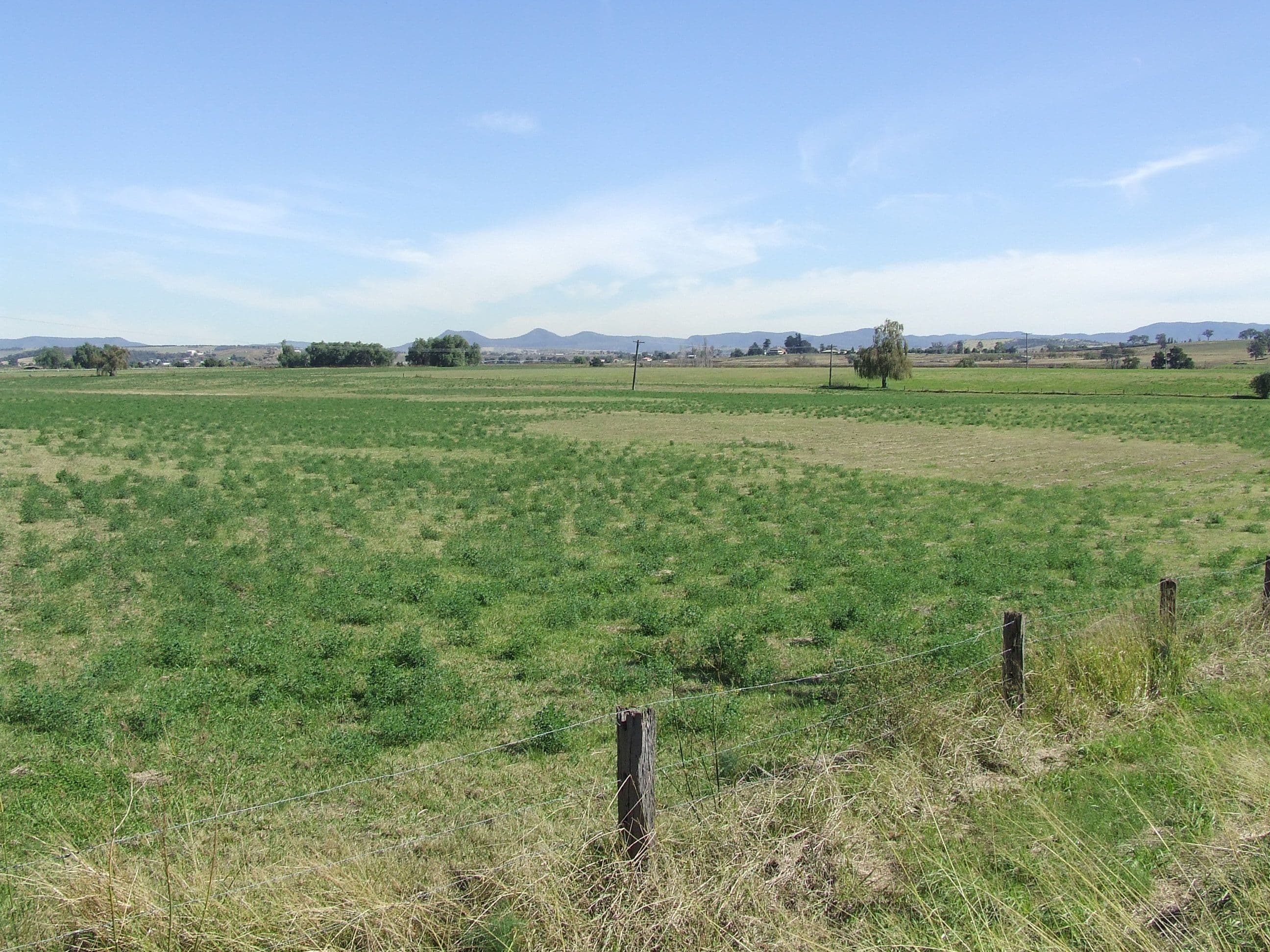 Lot 1 Glenridding Road, Singleton NSW 2330, Singleton - Thumbnail 3