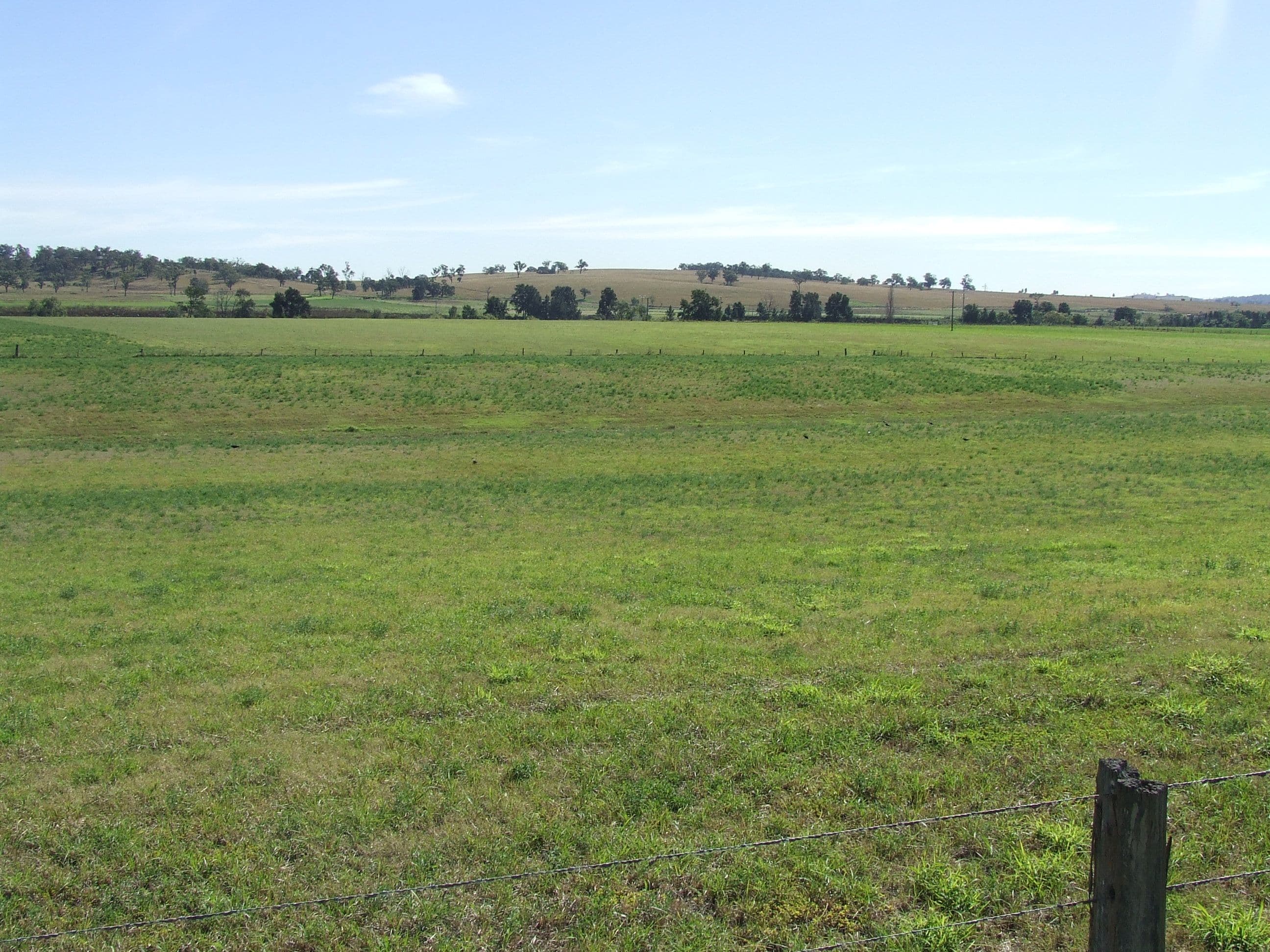 Lot 1 Glenridding Road, Singleton NSW 2330, Singleton - Image 1