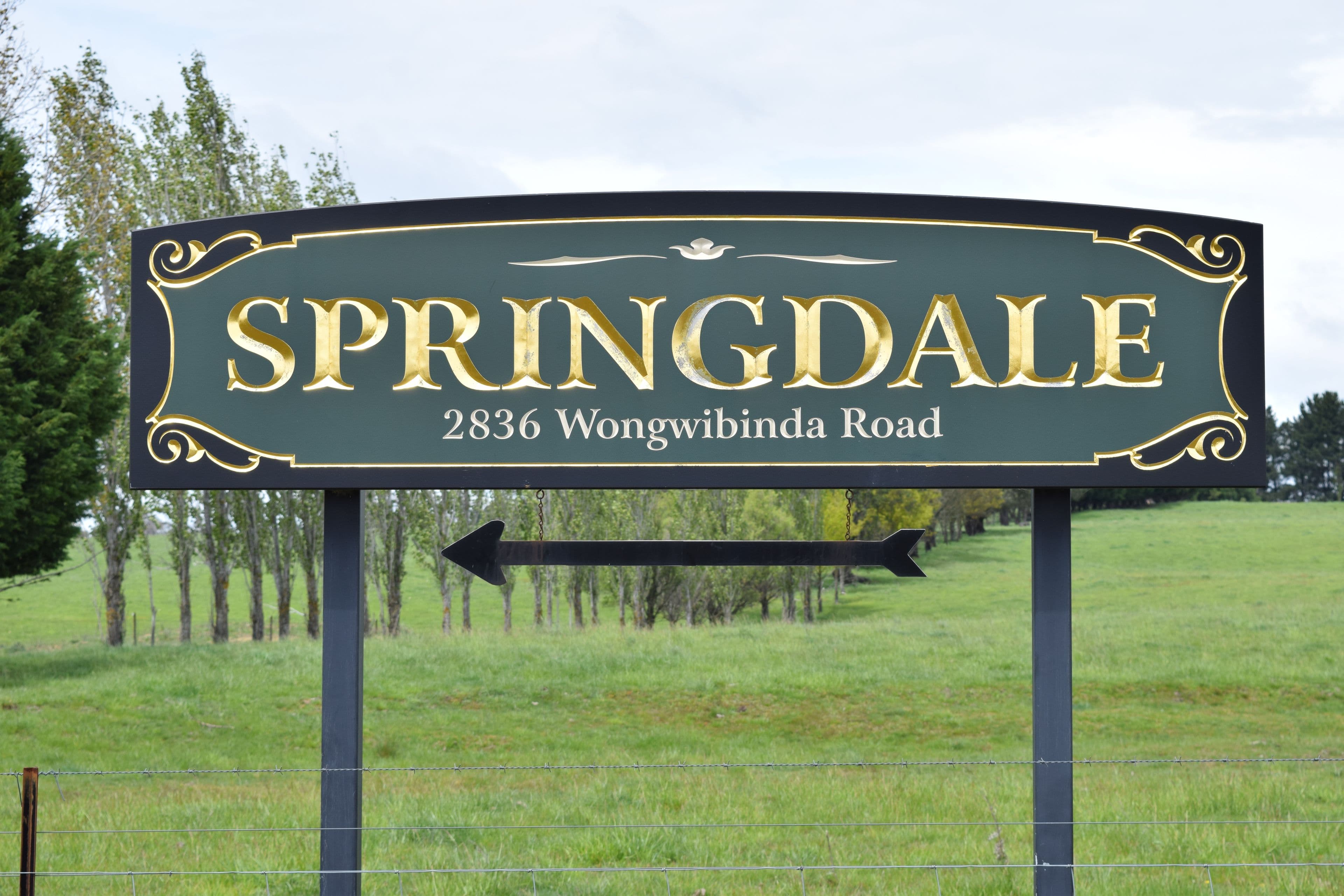 Springdale 2836 Wongwibinda Road, Guyra NSW 2365, Guyra - Thumbnail 2