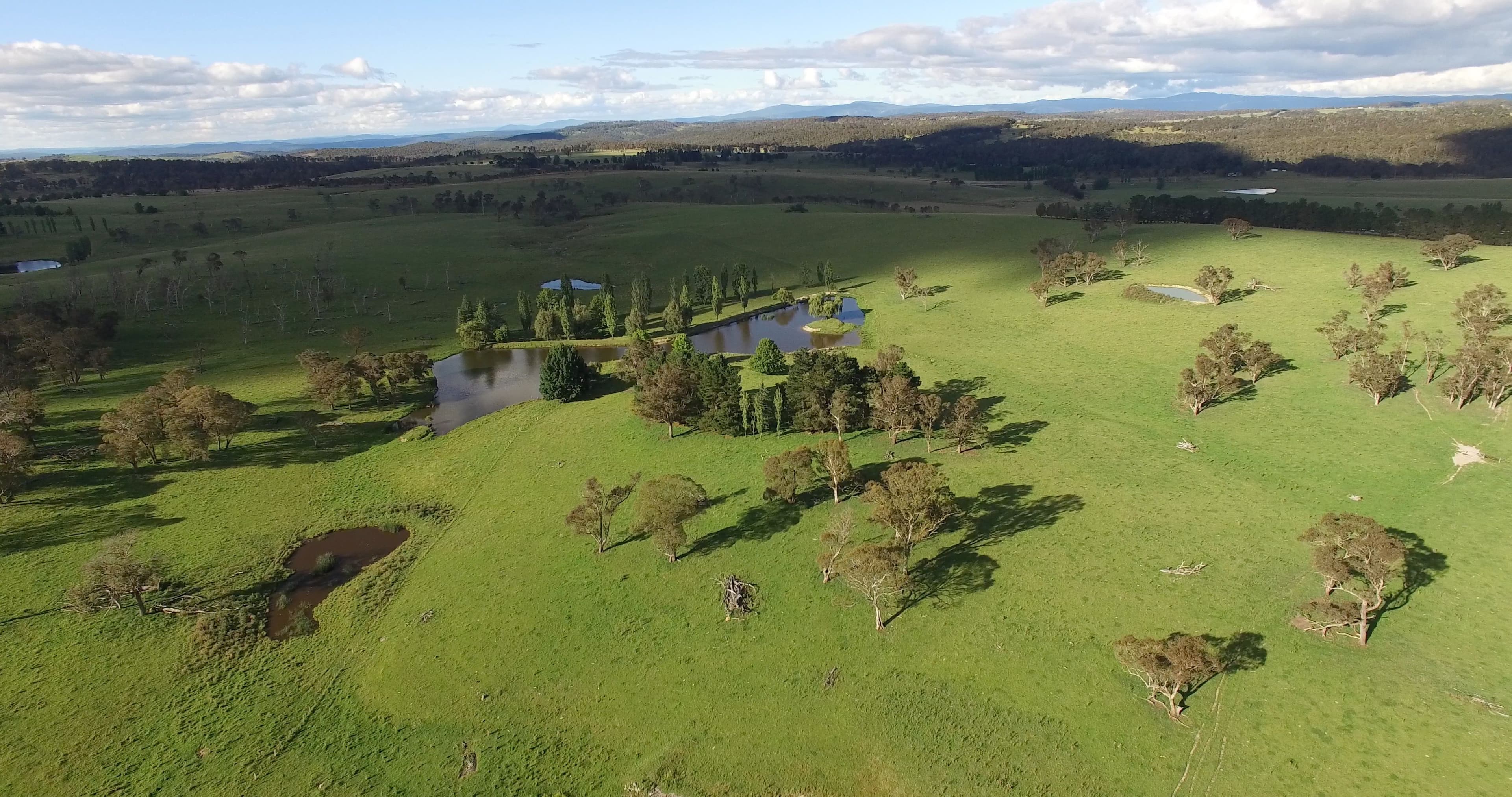 Springdale 2836 Wongwibinda Road, Guyra NSW 2365, Guyra - Image 1