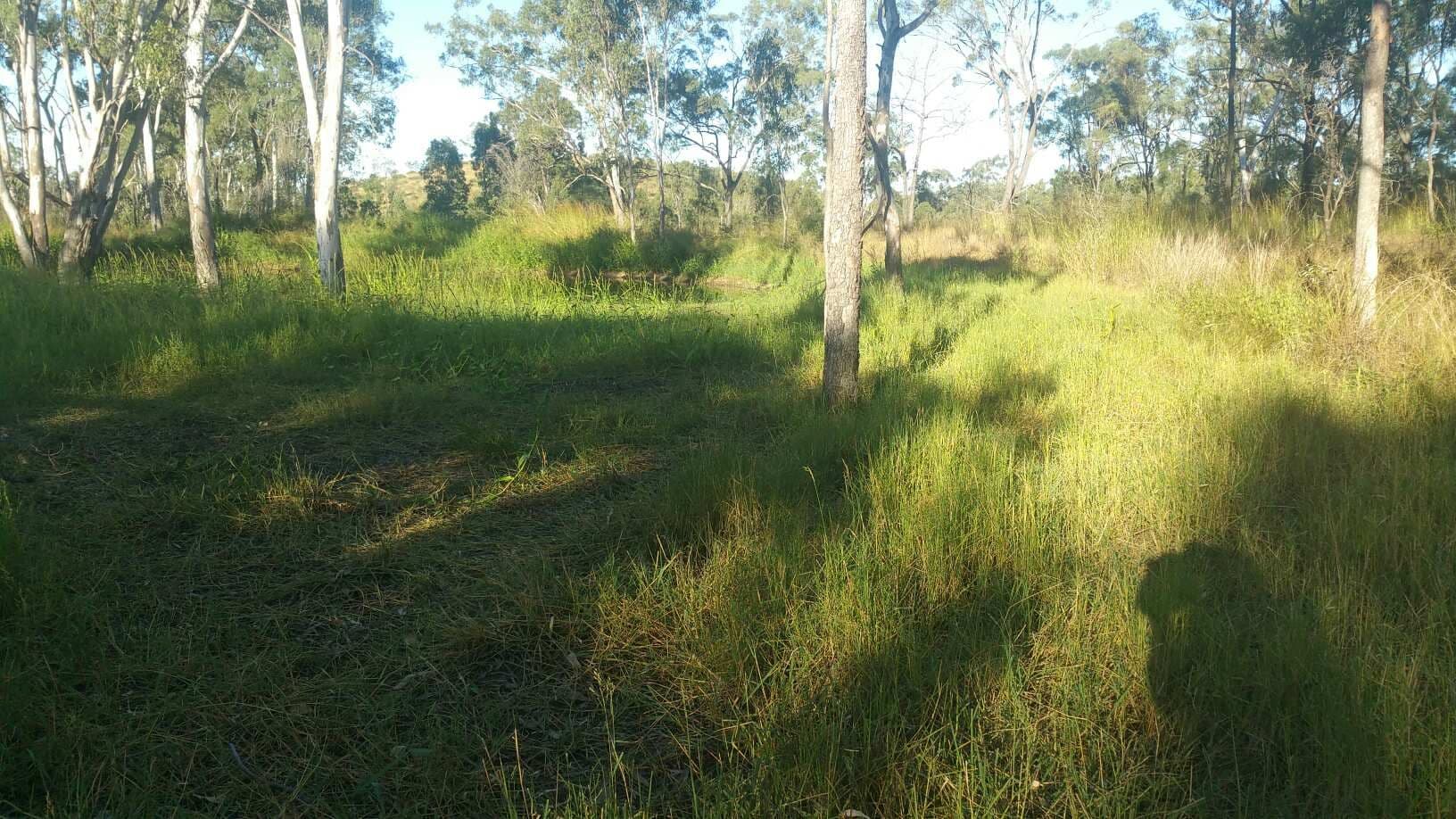 78 Fire Creek Road, Raglan QLD 4697, Raglan - Thumbnail 3